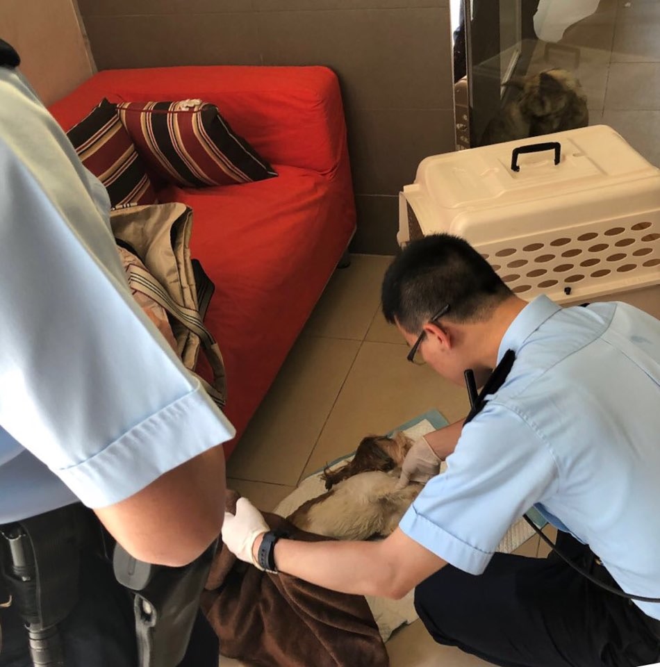 警方介入處理事件。(Man Man提供圖片)