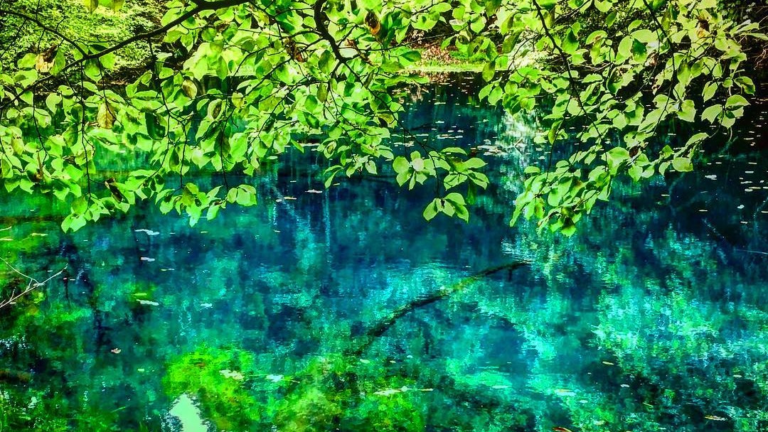 山形 風景 遊走山形縣3 處必到景點 香港01 旅遊 山形 風景 遊走山形縣3 處必到景點 香港01 旅遊