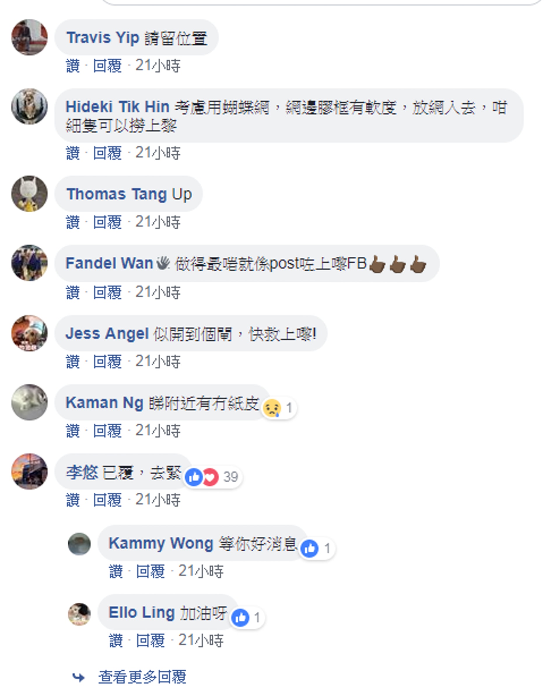 網民十分關注3隻小貓的安全及狀況。(「天下貓貓一樣貓」群組截圖)