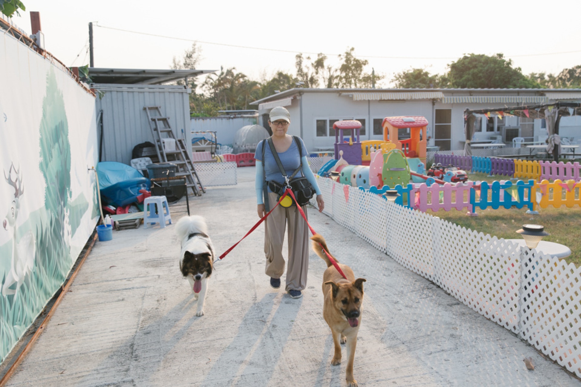 Regina天生患有糖尿病,一天需注射四次胰臟素控制病情,「如果我帶佢哋出去,出得耐都會好攰。」體力不足,所以Regina每次只會帶一至兩隻狗外出,如一定要帶同三隻狗一同外出,就要找來朋友幫忙。