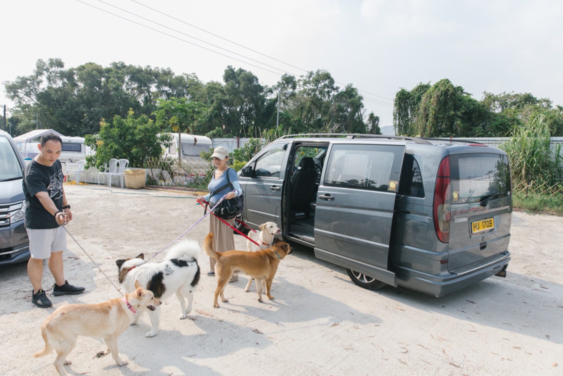 日常經常使用客貨車外出,狗兒與司機都變得熟稔,一見到司機就尾巴搖搖。