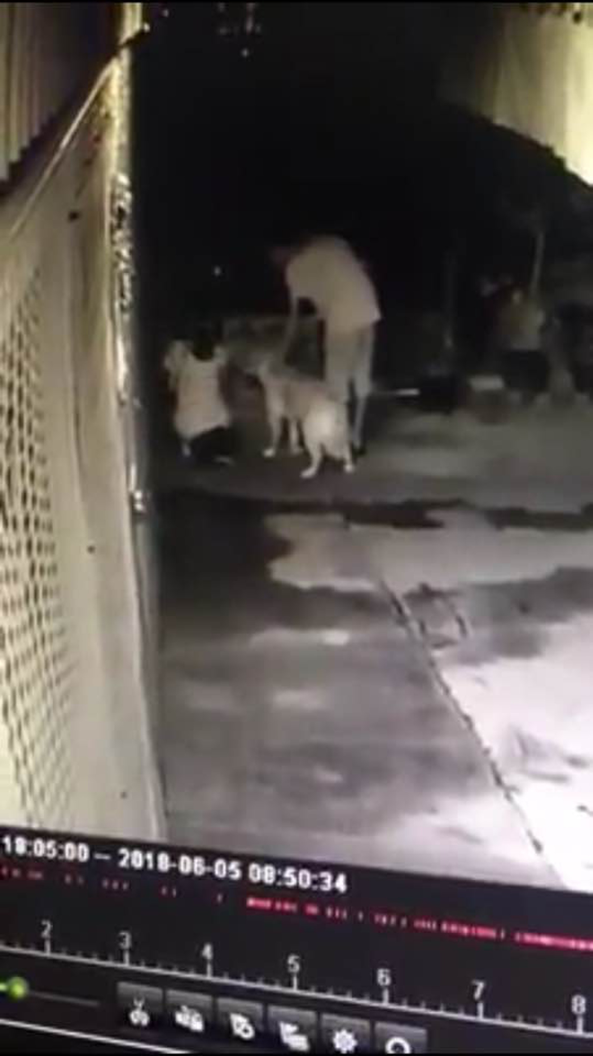 女子懷疑棄狗,男子在旁協助。(影片截圖)