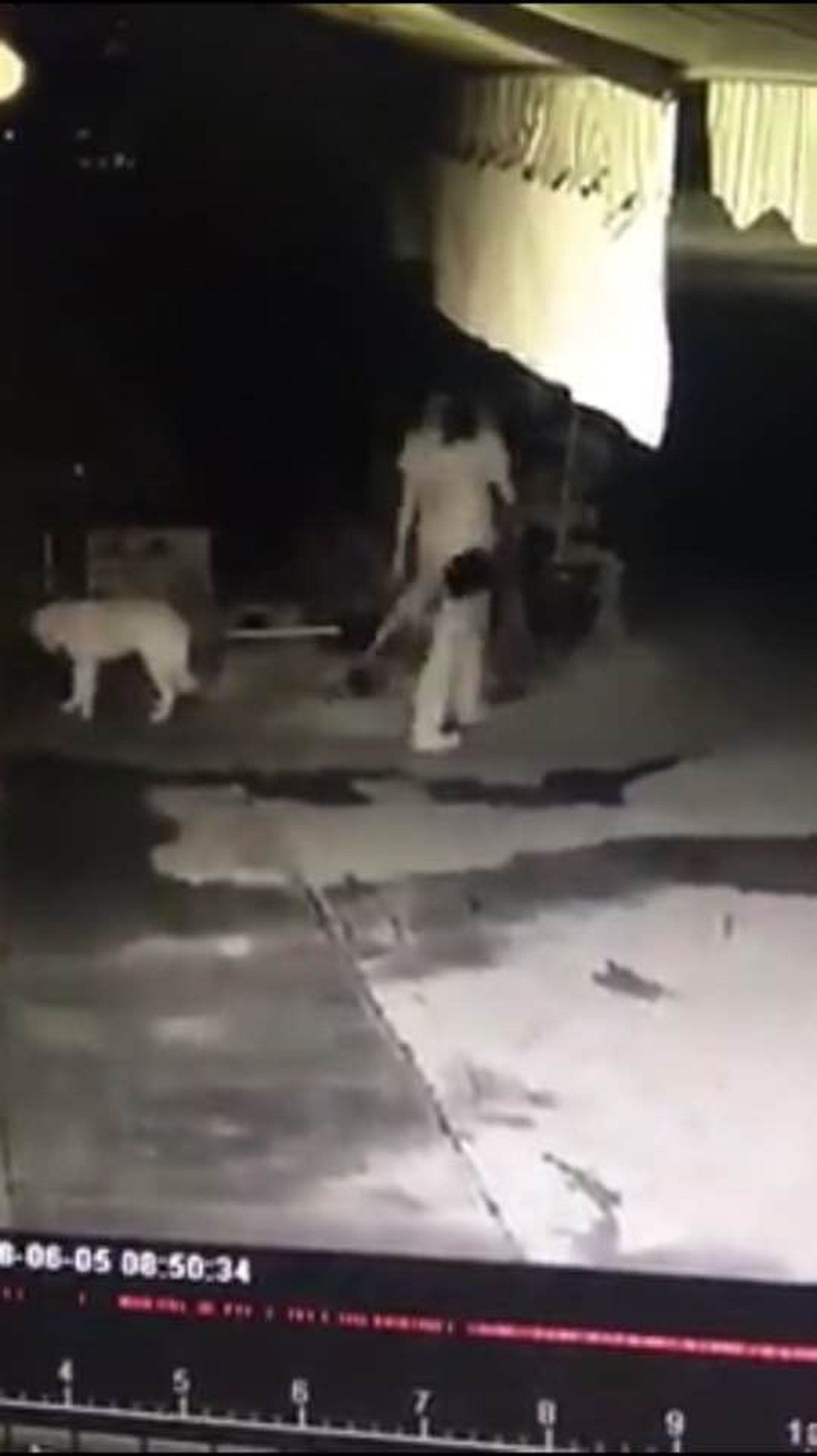 該對男女疑棄狗後轉身離去。(影片截圖)