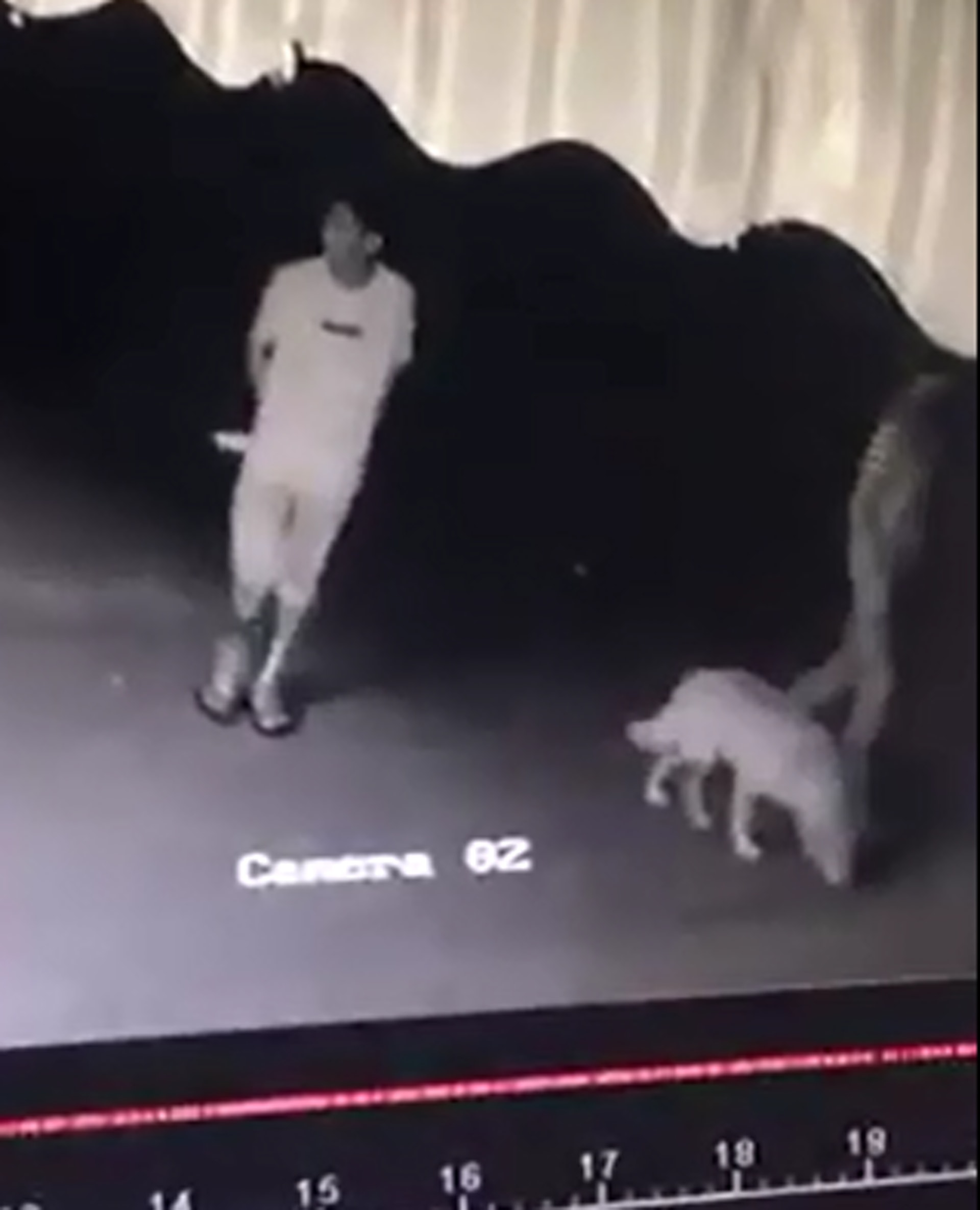 疑棄狗前,男子四處張望,女子牽狗散步。(影片截圖)