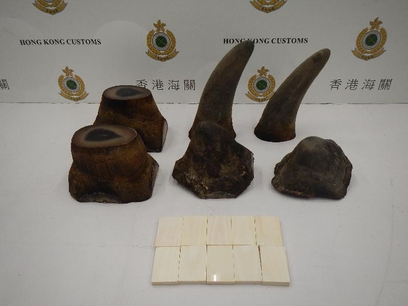 $120萬元犀牛角及象牙製品藏食物盒內走私來港　男旅客機場斷正