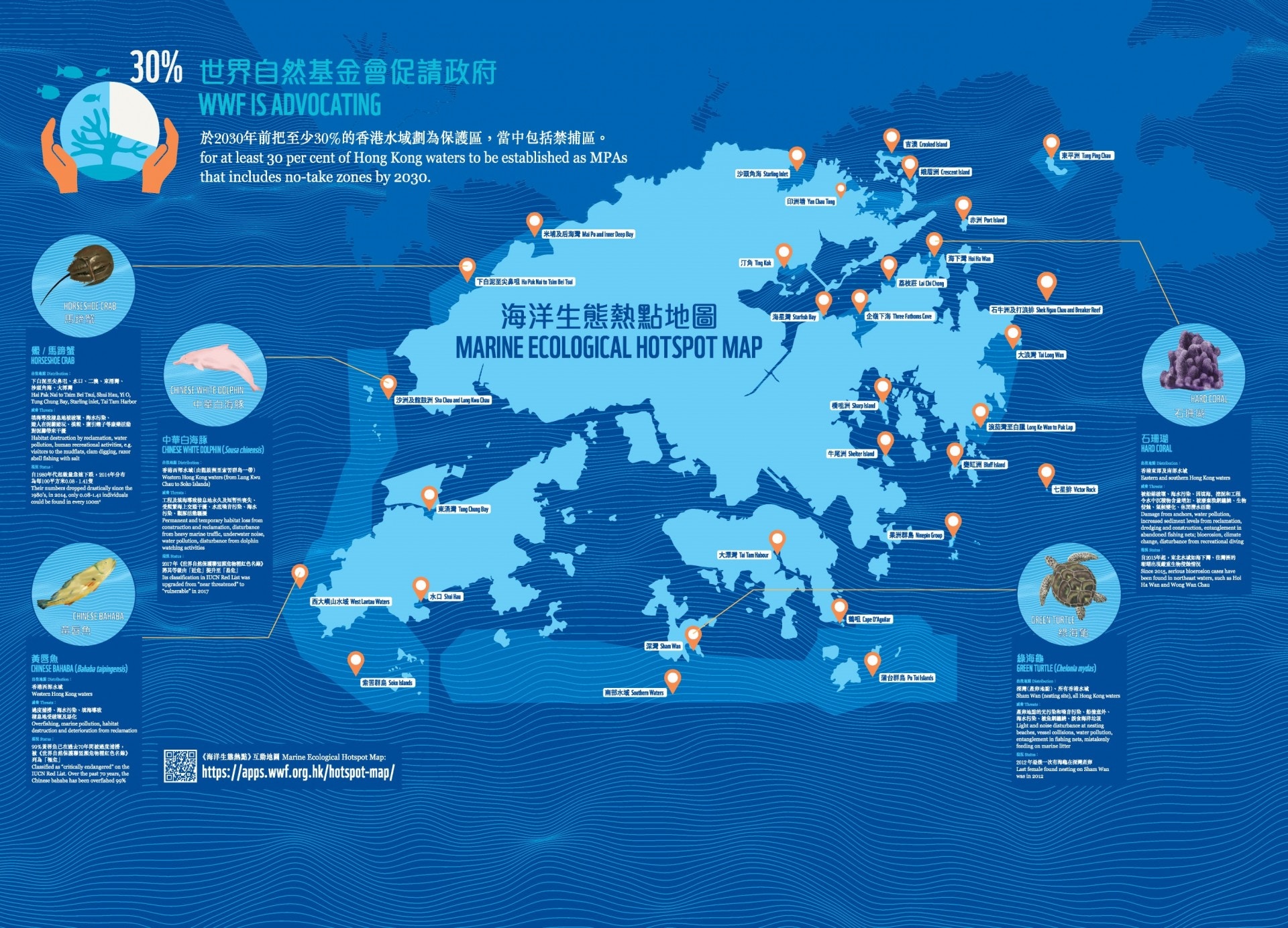 WWF促請政府於2030年前將保護區範圍擴大至覆蓋最少30%香港水域,保護珍貴的海洋生物及其棲息地。