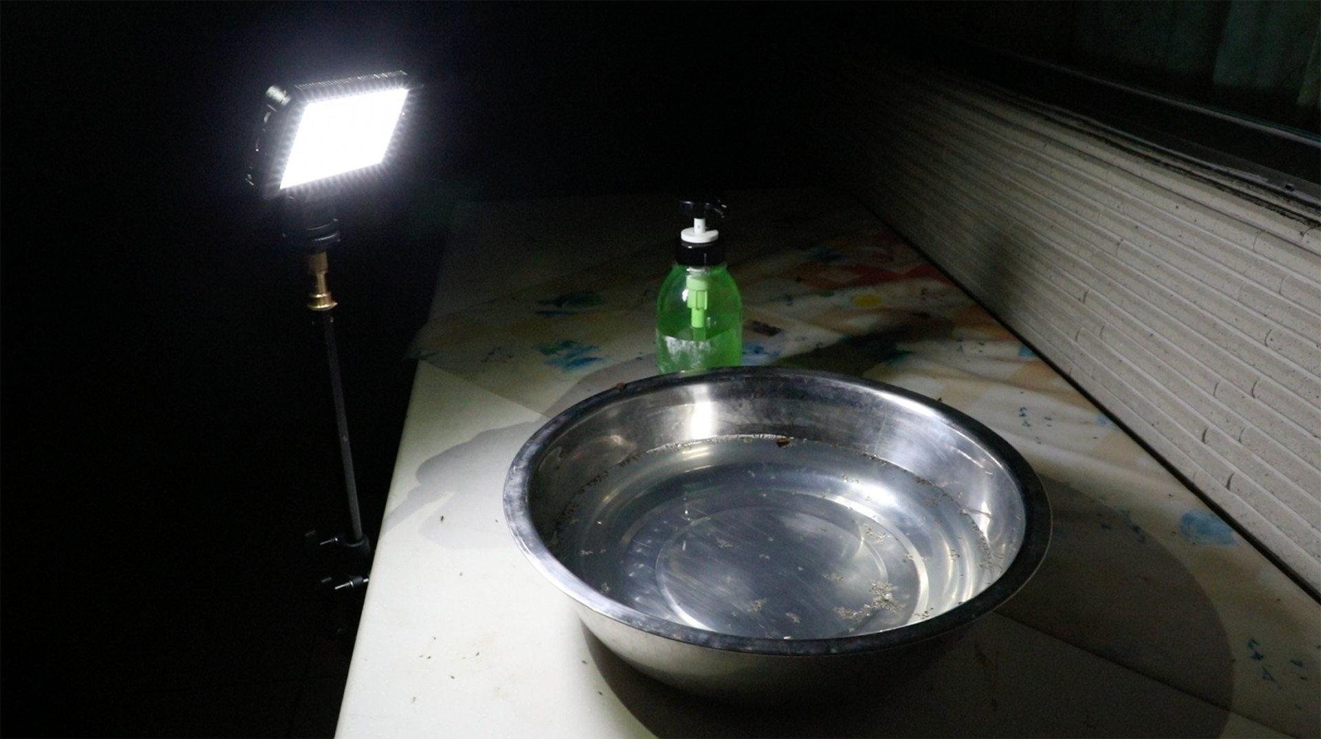 一盞燈加上一盆加入洗潔精的水，能否令飛蟲投水自盡。（岑卓熹攝）