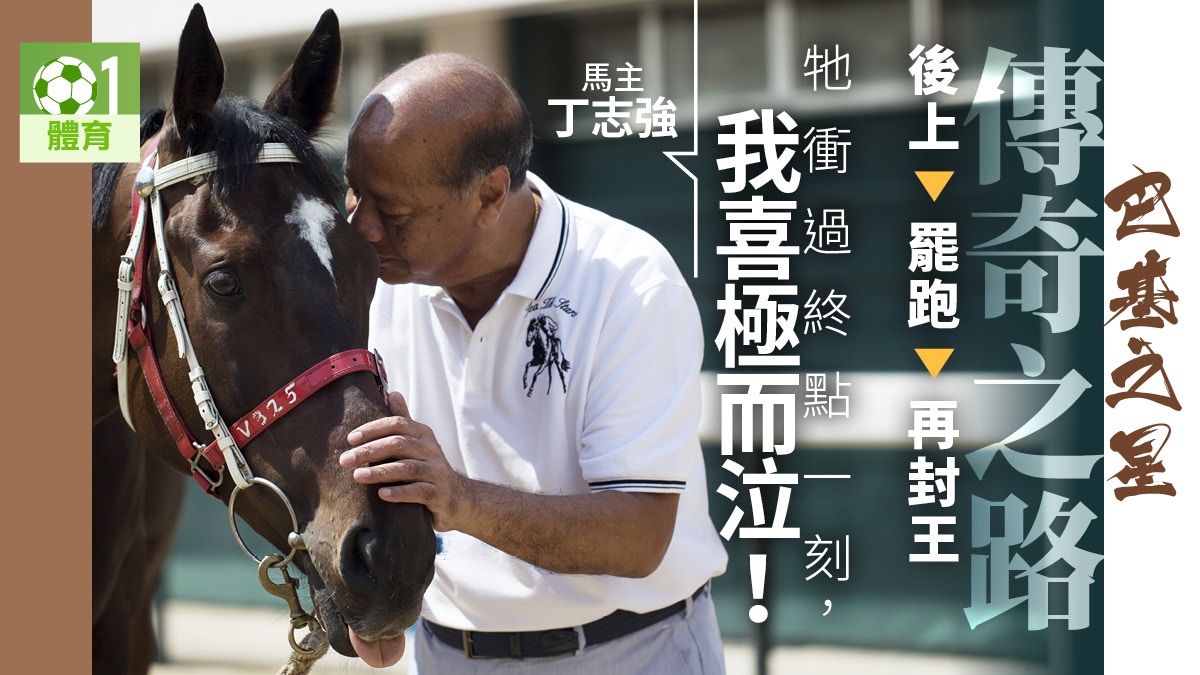 賽馬 馬王選舉 巴基之星起跌大馬主 倘獲選將是奇怪的馬王 香港01 即時體育