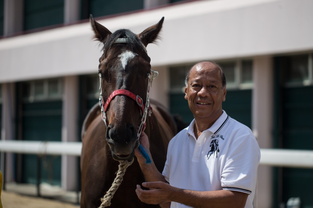 賽馬 馬王選舉 巴基之星起跌大馬主 倘獲選將是奇怪的馬王 香港01 即時體育