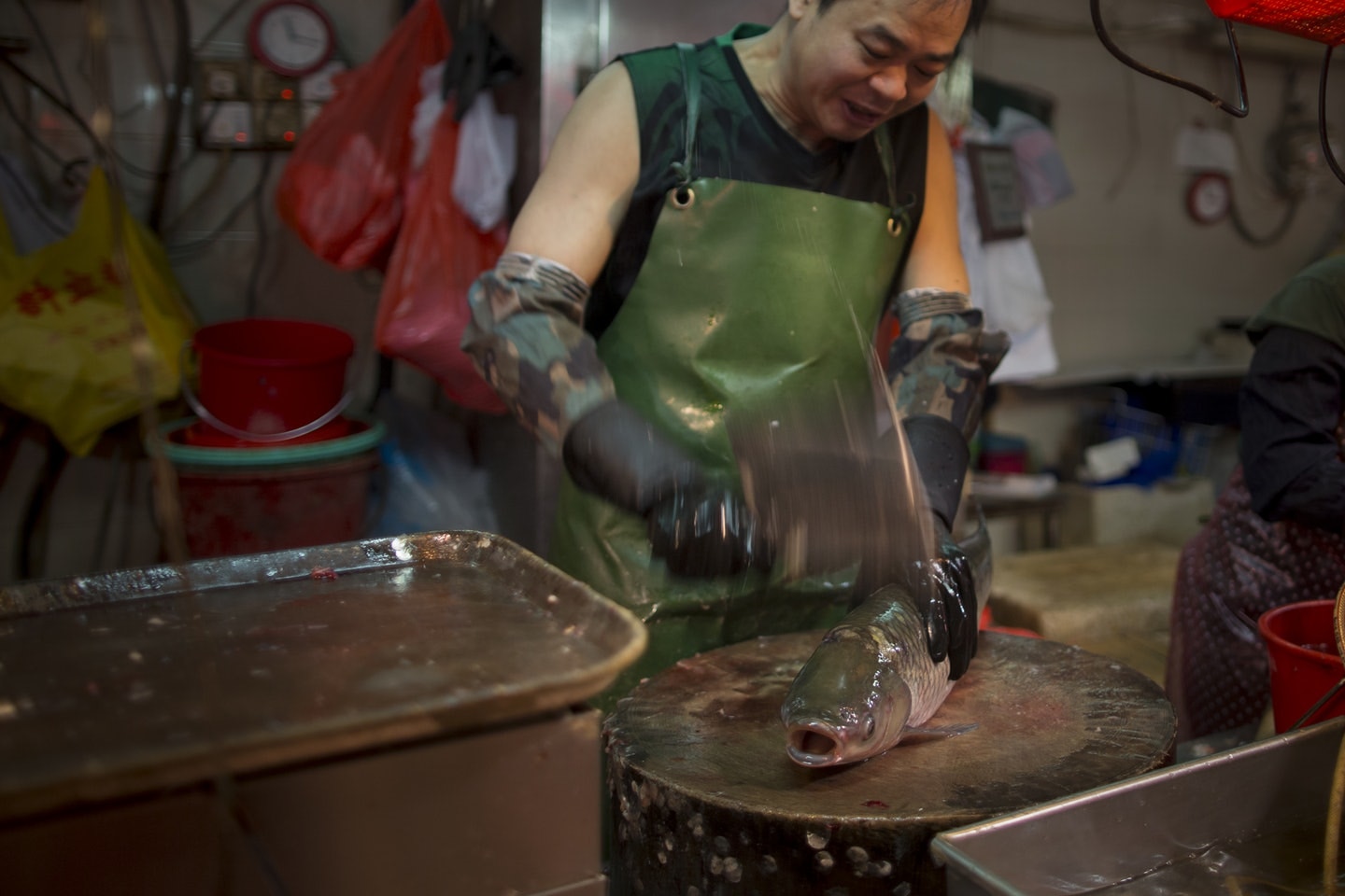澳門《動物保護法》規定食用動物被宰殺前,要先經人道方式擊暈才可宰殺。(資料圖片) 澳門《動物保護法》規定食用動物被宰殺前,要先經人道方式擊暈才可宰殺。(資料圖片)