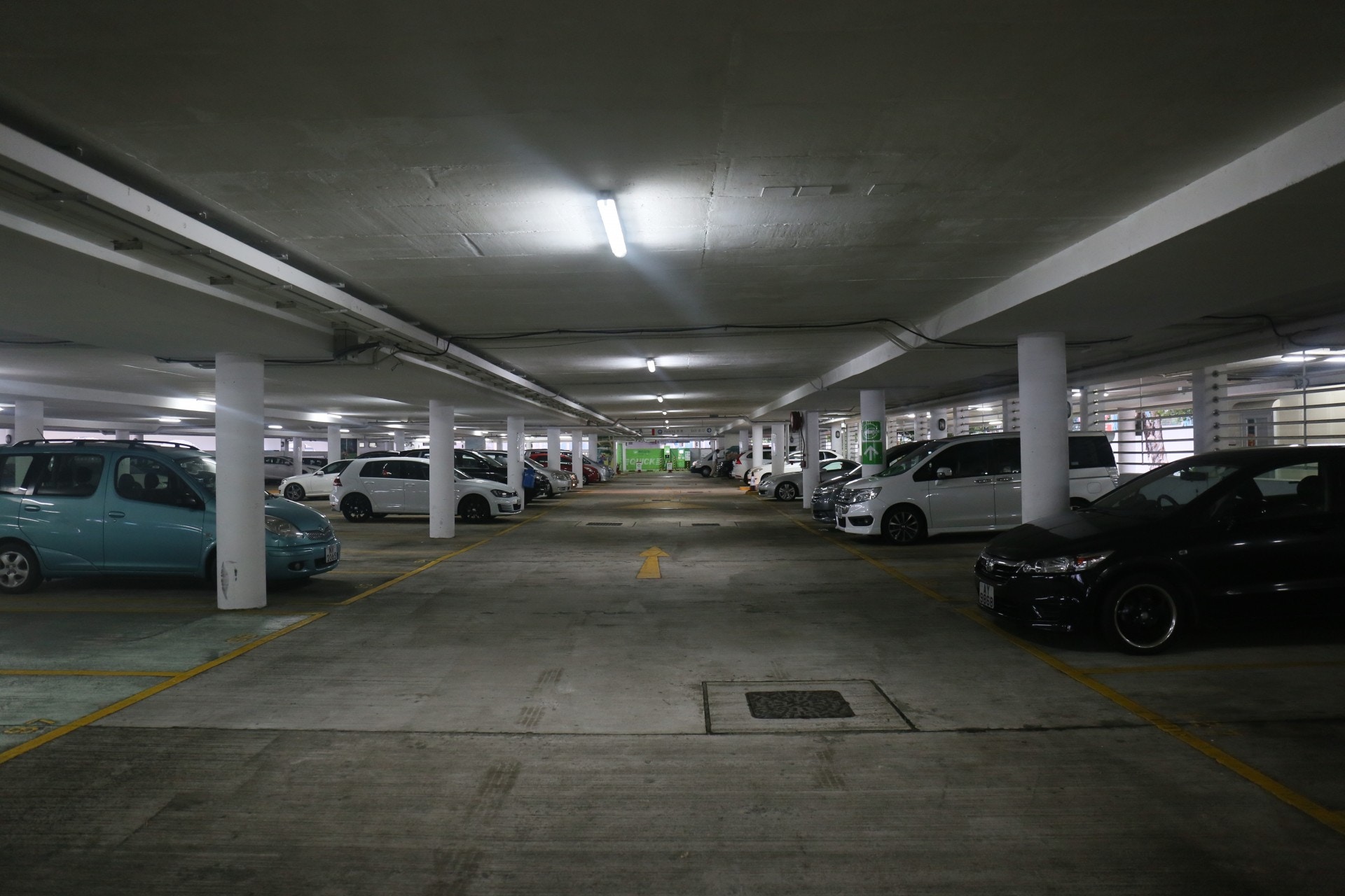 停車場職員指牛隻不時都會進入停車場。(黃詠榆攝) 停車場職員指牛隻不時都會進入停車場。(黃詠榆攝)