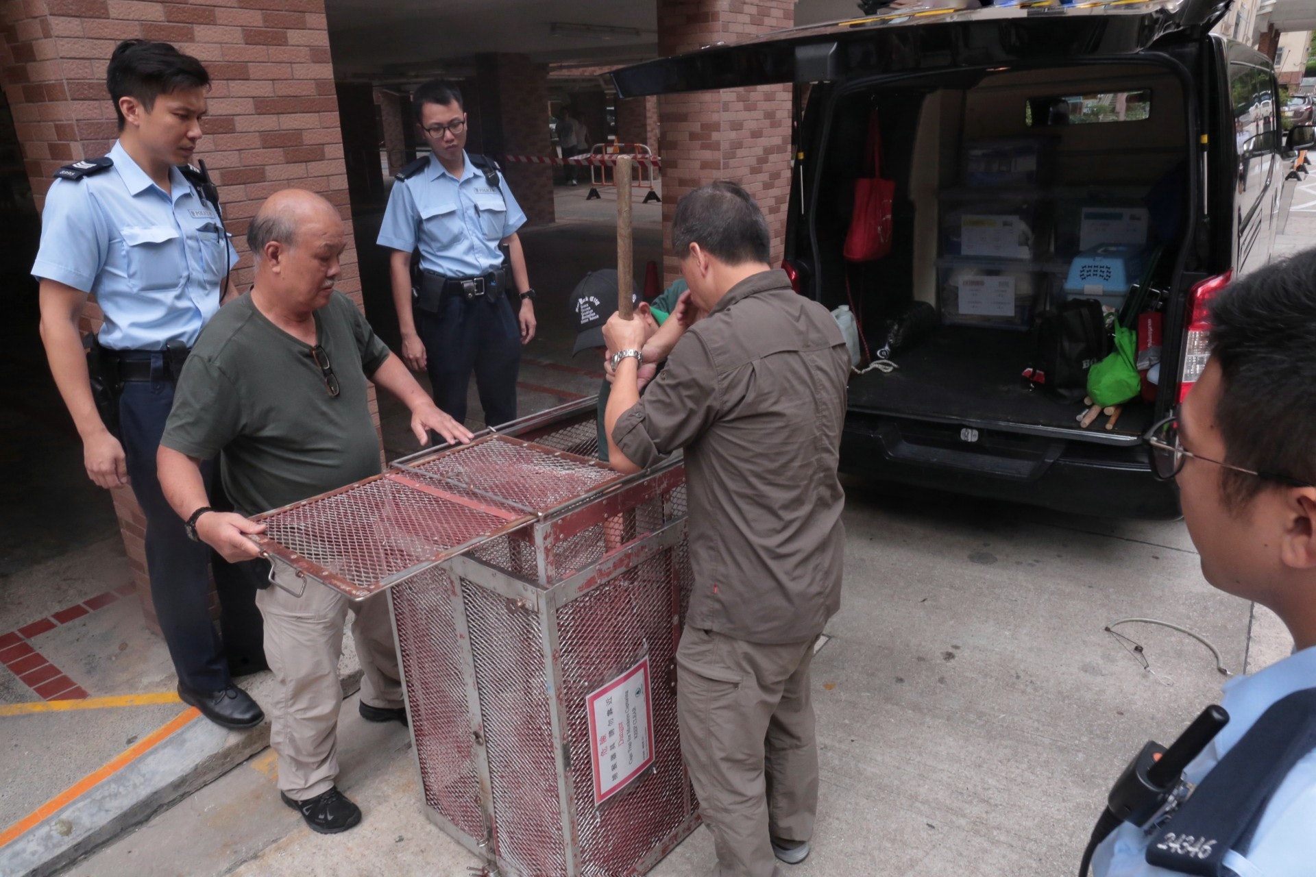 漁護署職員帶齊捕獸網上樓,終成功將馬騮擒獲。 (梁銘康攝) 漁護署職員帶齊捕獸網上樓,終成功將馬騮擒獲。 (梁銘康攝)