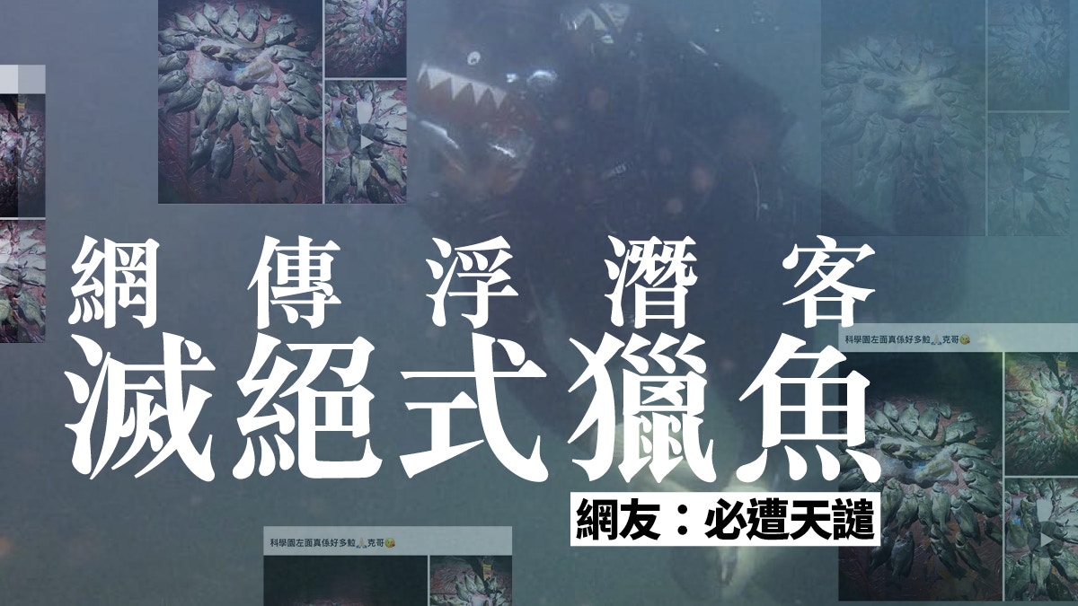 浮潛捕魚客日增　海洋生態堪憂　政府應加強監管