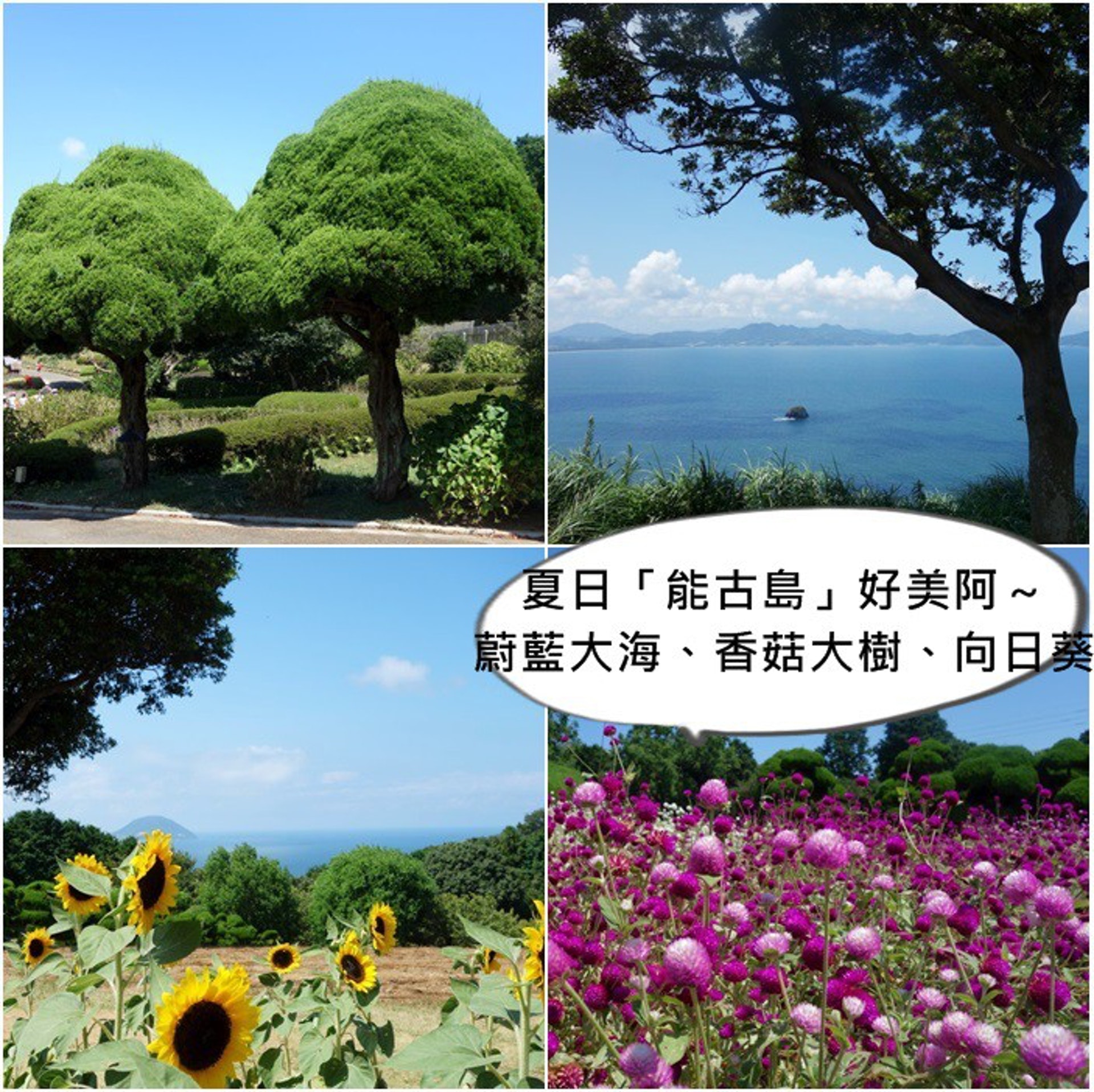 日本福岡景點 北九州能古島賞花由博多出發怎麼去 日本福岡景點 北九州能古島賞花由博多出發怎麼去