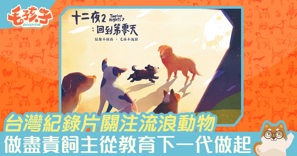 台灣紀錄片 十二夜 關注流浪動物結紮與不放養做個盡責任主人 香港01 寵物