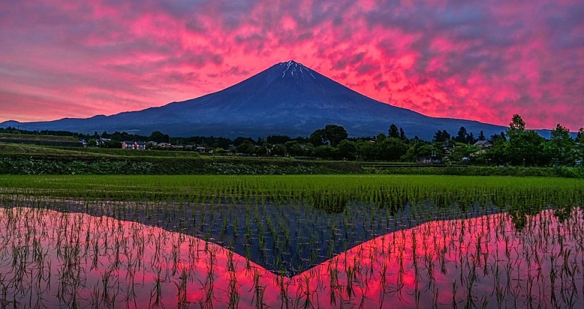 睇好相 日本富士山下的天空之鏡火燒稻田倒影照吸2萬like 香港01 影像熱話