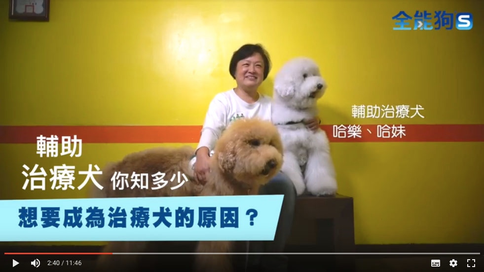 狗狗也能當醫生　治療犬在台灣醫院與病患親密接觸