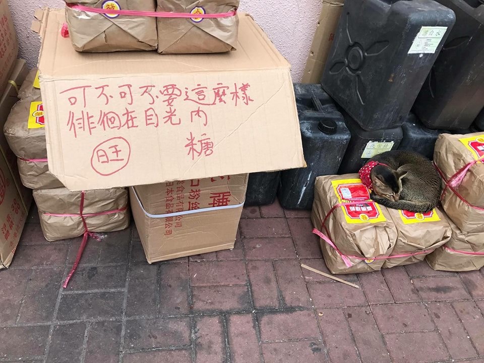 有些清潔工人會誤以為貓屋是垃圾掉棄。(被訪者提供圖片) 有些清潔工人會誤以為貓屋是垃圾掉棄。(被訪者提供圖片)