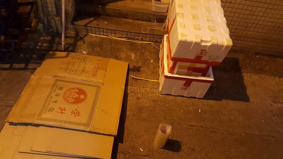 發泡膠也是不錯的貓屋物料。(被訪者提供圖片) 發泡膠也是不錯的貓屋物料。(被訪者提供圖片)