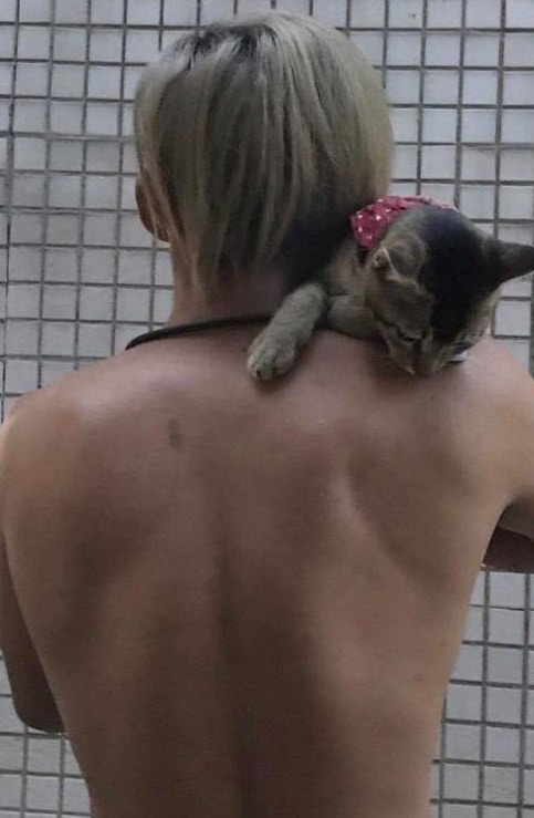 賢仔不欲上鏡,接受訪問只希望讓大家對流浪貓多點包容。(被訪者提供圖片) 賢仔不欲上鏡,接受訪問只希望讓大家對流浪貓多點包容。(被訪者提供圖片)