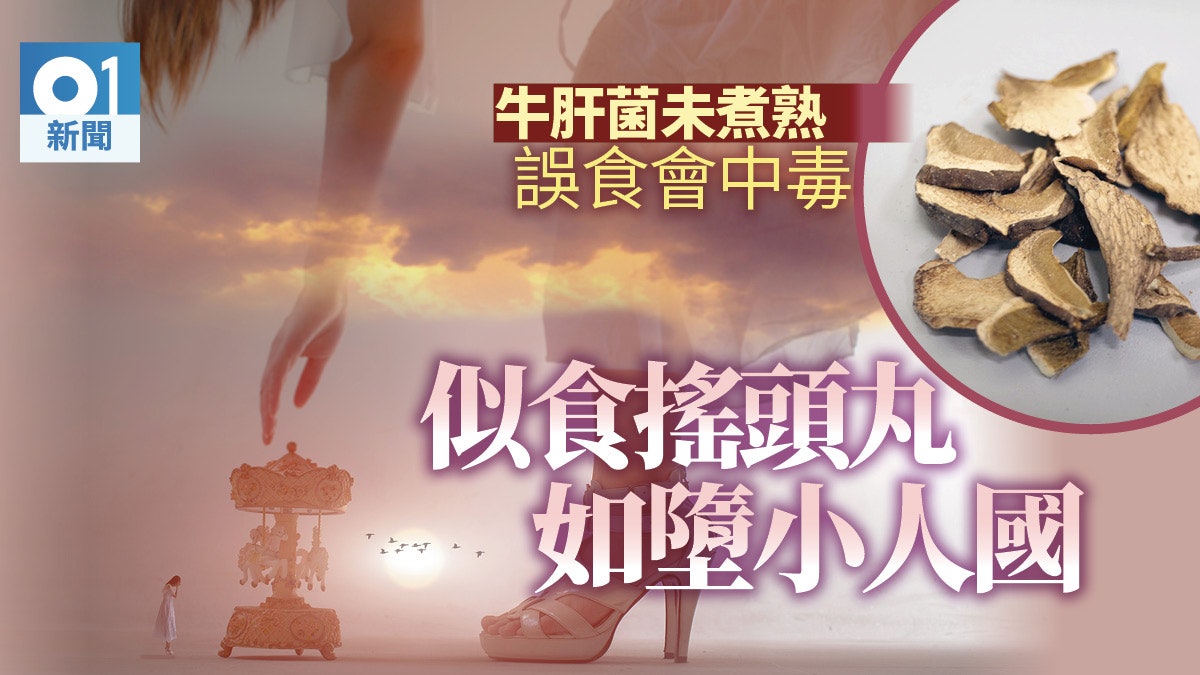 【食菇中毒】誤食未煮熟牛肝菌或產生幻覺 猶如走進小人國國度 【食菇中毒】誤食未煮熟牛肝菌或產生幻覺 猶如走進小人國國度