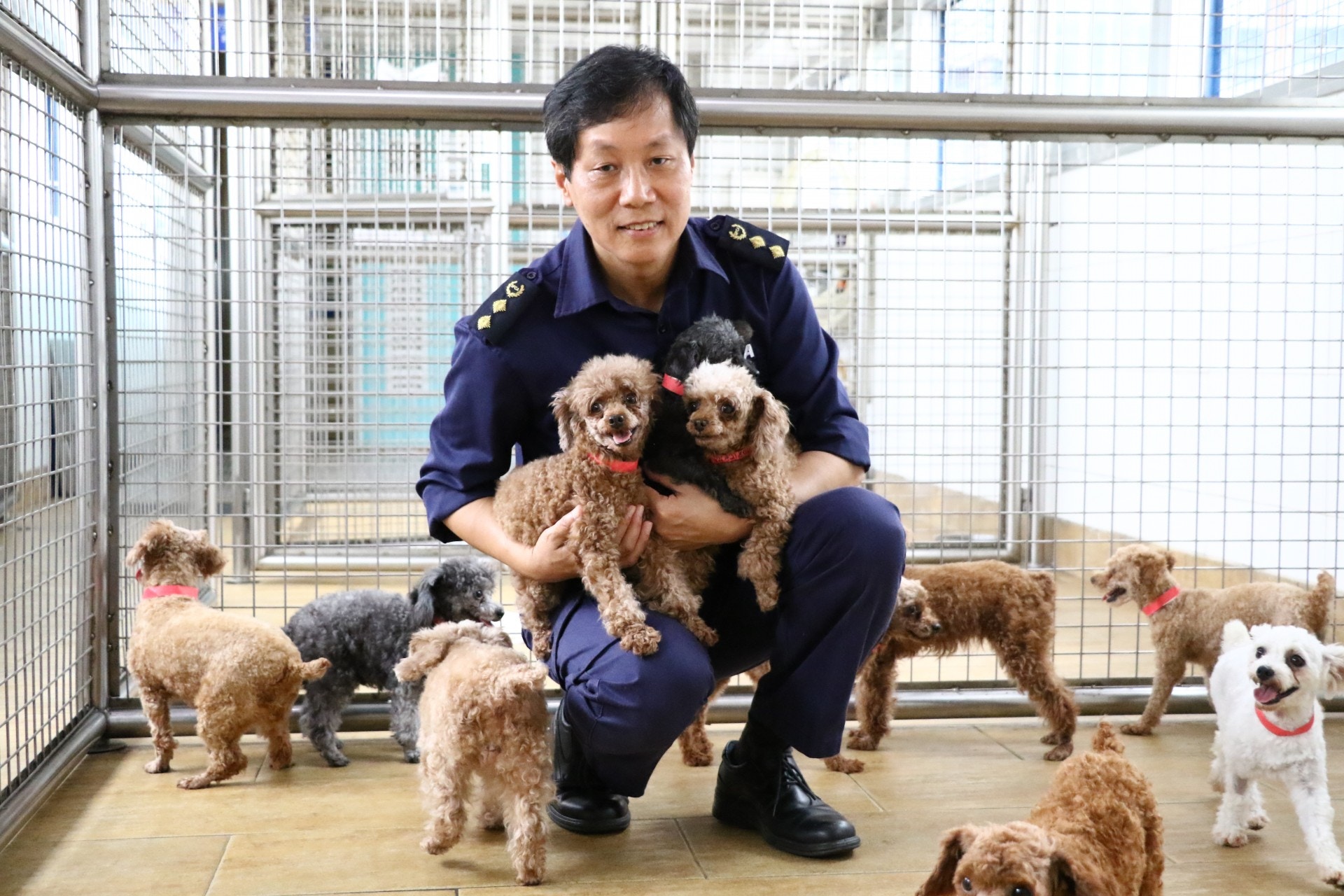 麥明樂說:「只要需求消失，供應自然會減低。」(SPCA)