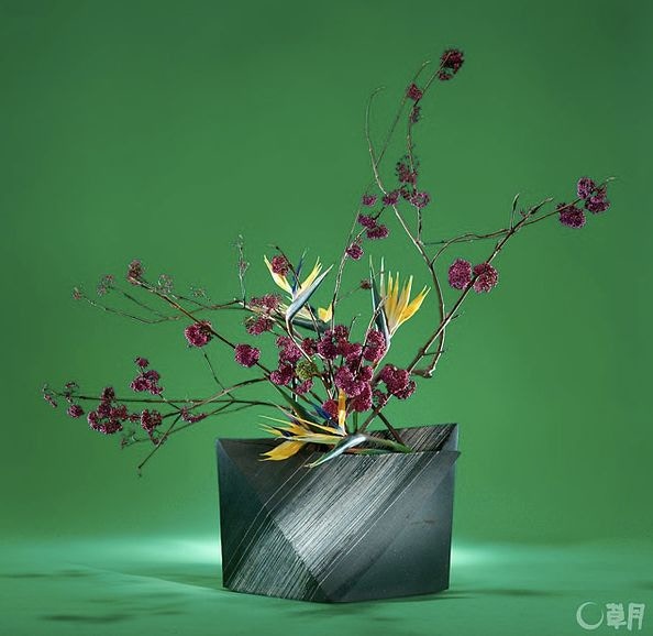 日本花道】草月流破舊立新3分鐘輕鬆入門一生受用