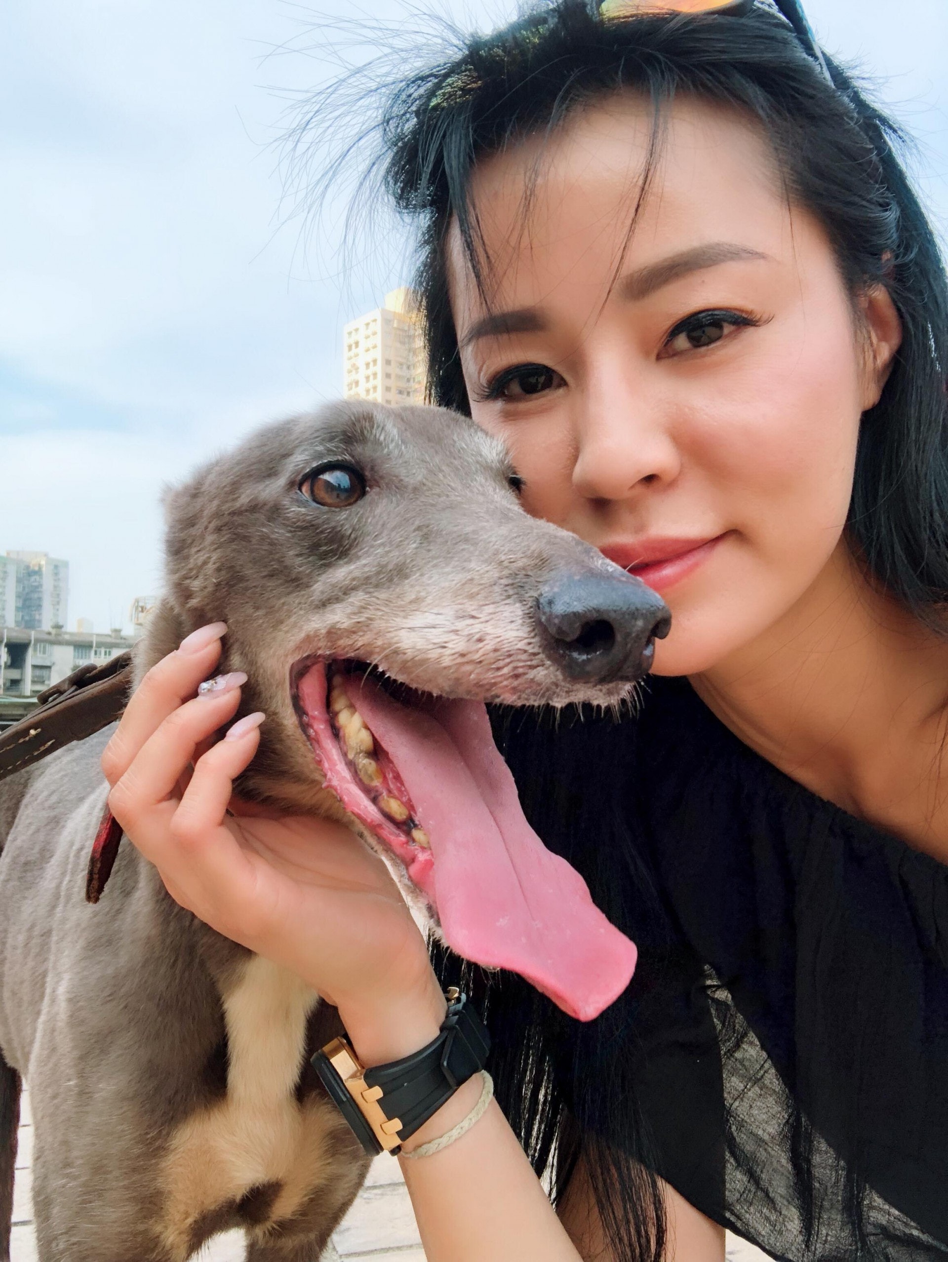 Jessie稱對這隻格力犬一見鐘情，並指狗狗性格溫純，不怕陌生人。（受訪者提供）