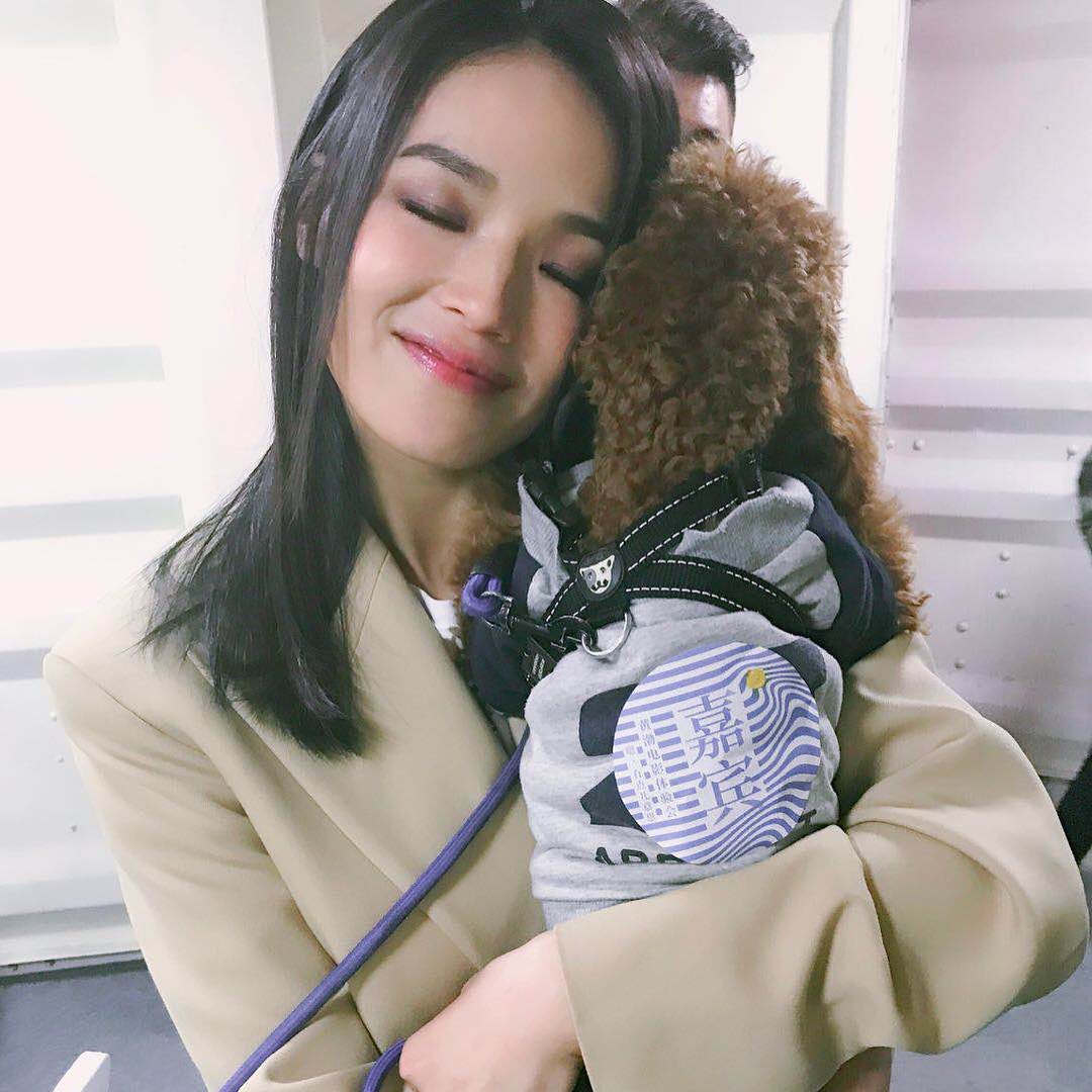 舒淇出名愛毛孩子，不時都會上載自己與貓貓、狗狗的合照。（Instagram@sqwhat）