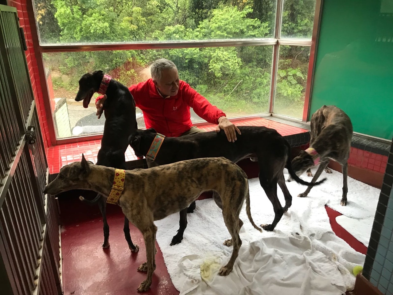 澳門逸園賽狗場已於7月1日舉辦最後一場領養活動。(澳門愛協) 澳門逸園賽狗場已於7月1日舉辦最後一場領養活動。(澳門愛協)