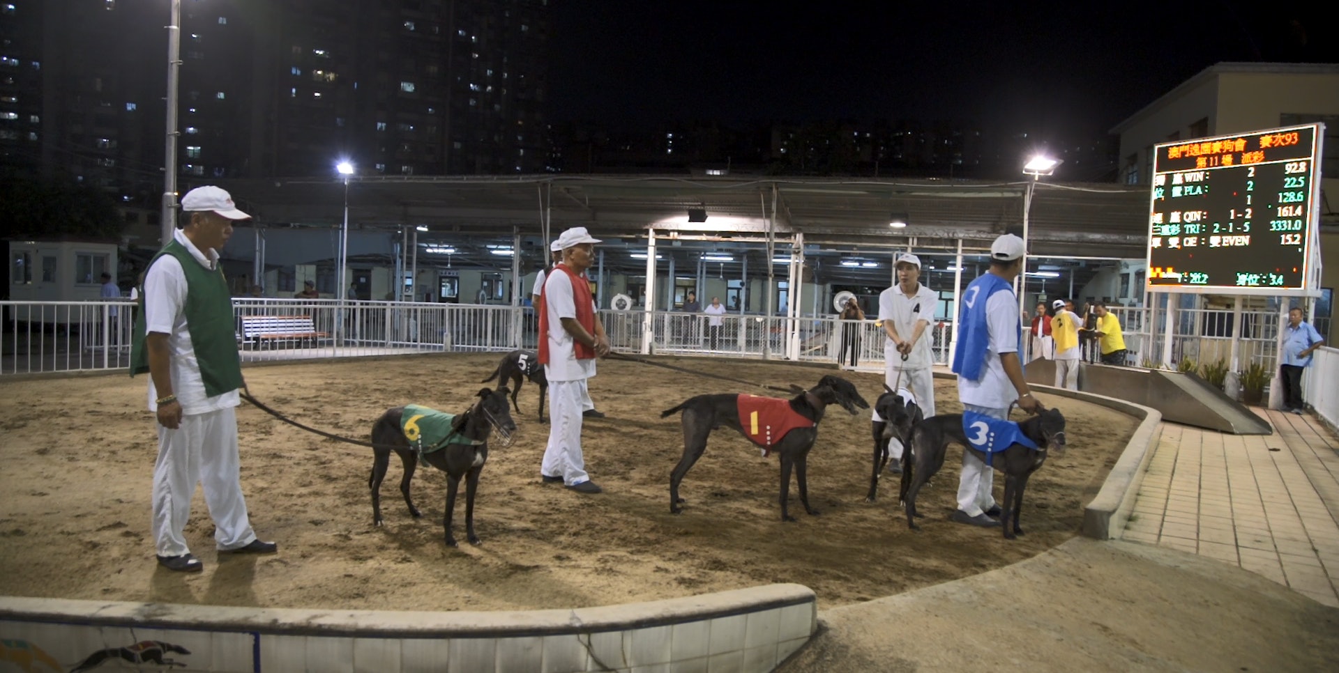 澳門逸園賽狗場下月底停辦,這晚格力犬仍奮力跑,不過前來拍照的「龍友」比賭客還要多。 (洪業銘攝) 澳門逸園賽狗場下月底停辦,這晚格力犬仍奮力跑,不過前來拍照的「龍友」比賭客還要多。 (洪業銘攝)