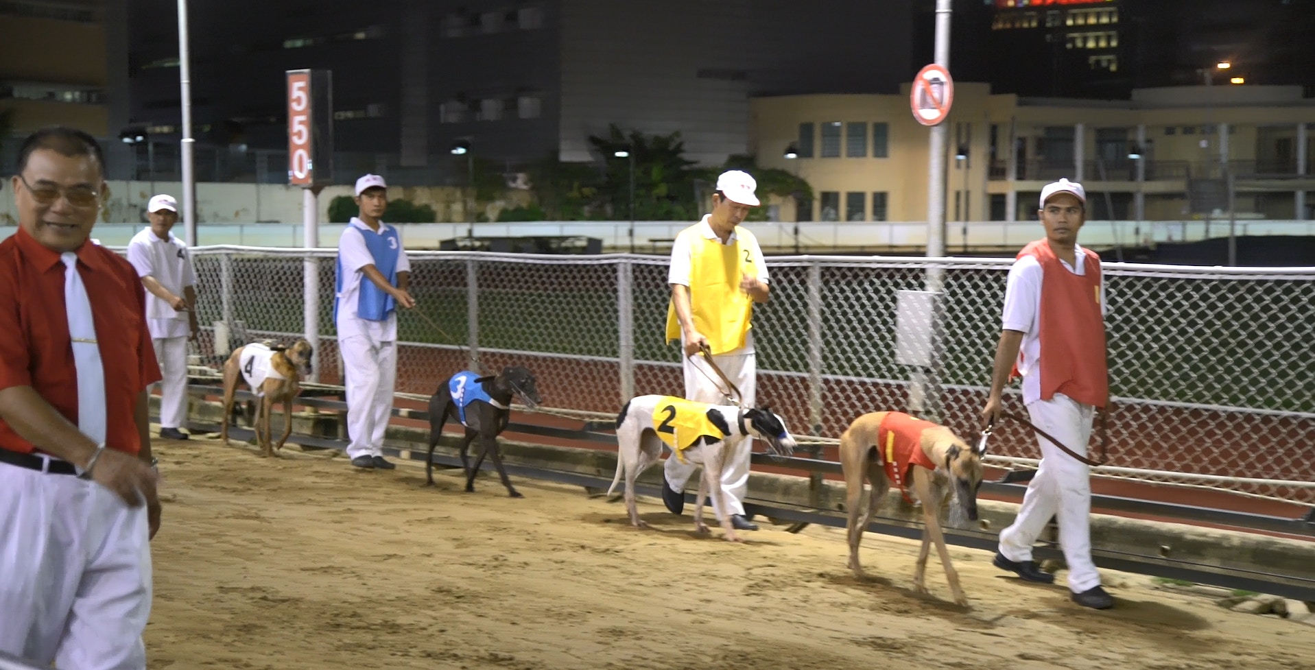 澳門逸園賽狗場下月底停辦,這晚格力犬仍奮力跑,不過前來拍照的「龍友」比賭客還要多。 (洪業銘攝) 澳門逸園賽狗場下月底停辦,這晚格力犬仍奮力跑,不過前來拍照的「龍友」比賭客還要多。 (洪業銘攝)