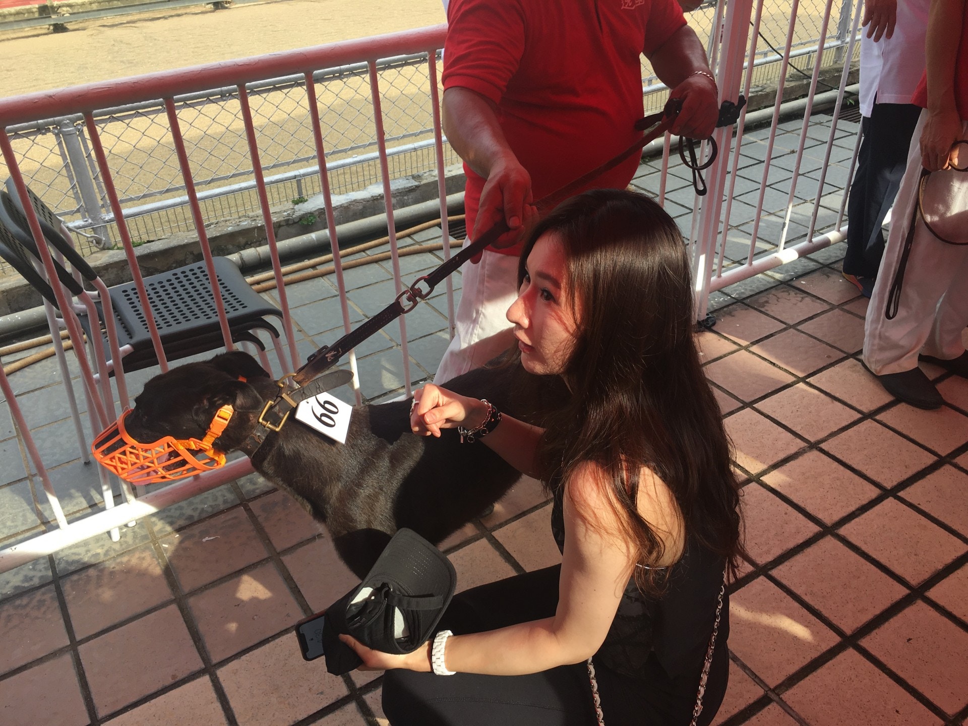 澳門逸園最後一場格力犬領養日吸引大批熱心港人。(李玉儀攝) 澳門逸園最後一場格力犬領養日吸引大批熱心港人。(李玉儀攝)