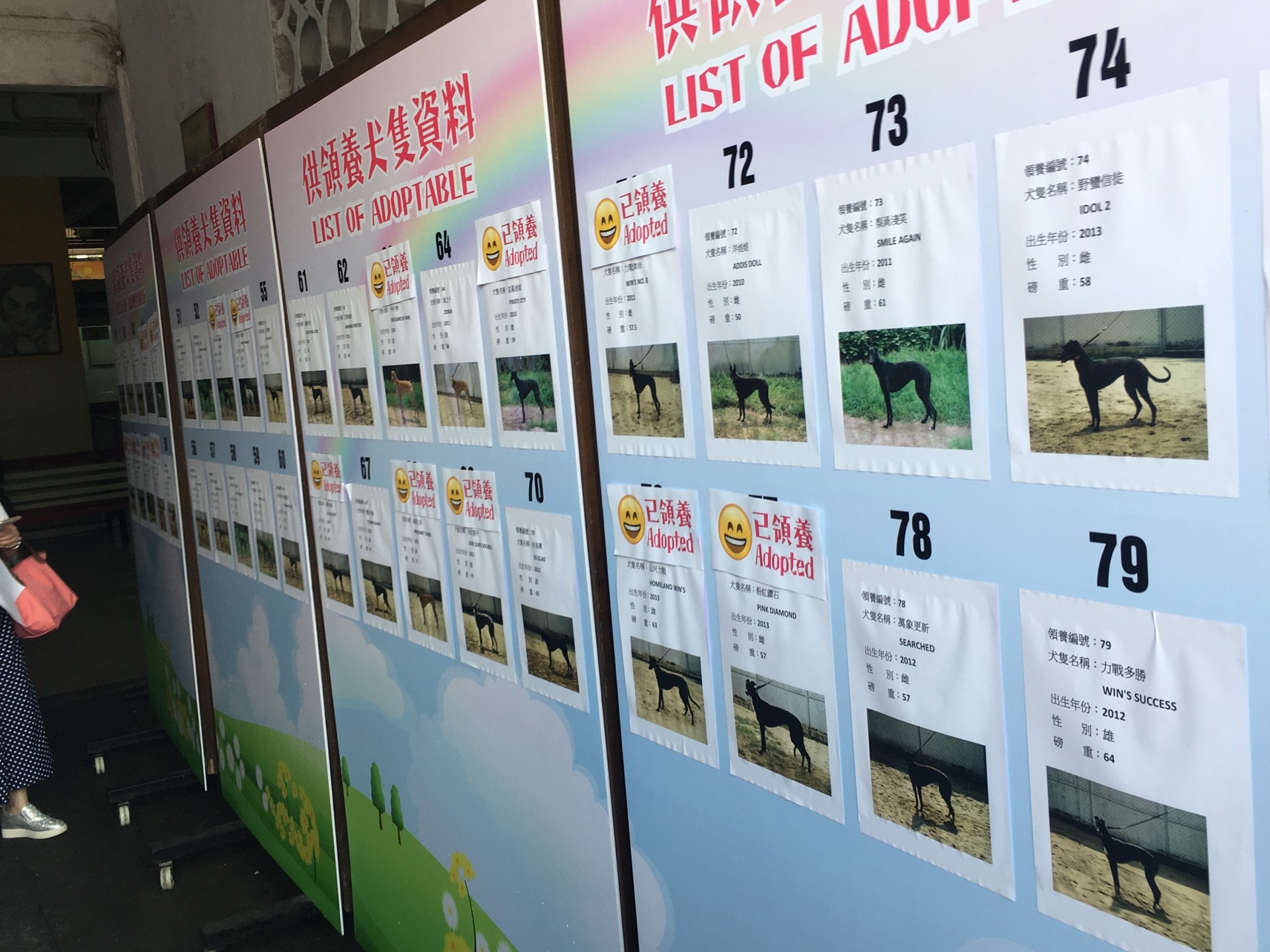 有港人形容現場安排「好似買馬咁」。(李玉儀攝) 有港人形容現場安排「好似買馬咁」。(李玉儀攝)