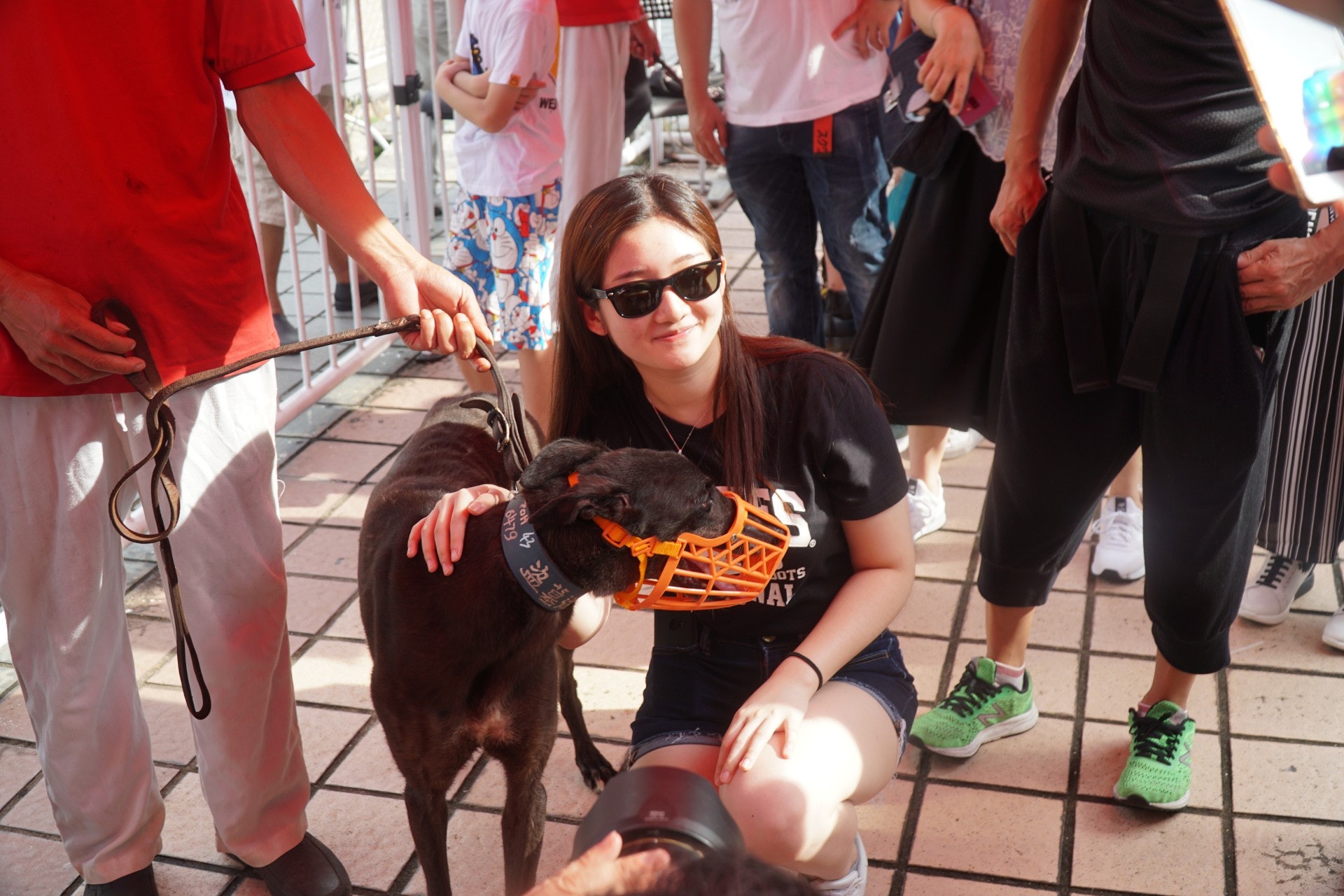 有港人憂慮救救格力犬猶如一股熱潮,不少人被感動領養,但未有考慮責任問題。(李玉儀攝) 有港人憂慮救救格力犬猶如一股熱潮,不少人被感動領養,但未有考慮責任問題。(李玉儀攝)