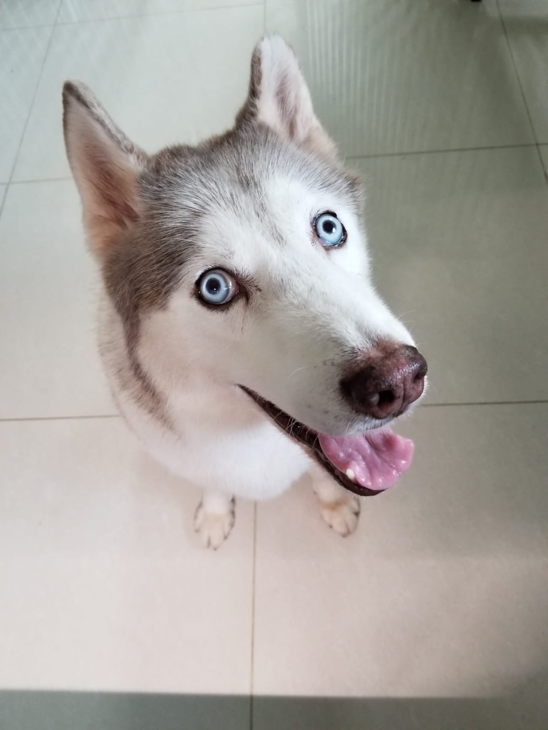 (張小姐提供照片) (張小姐提供照片)