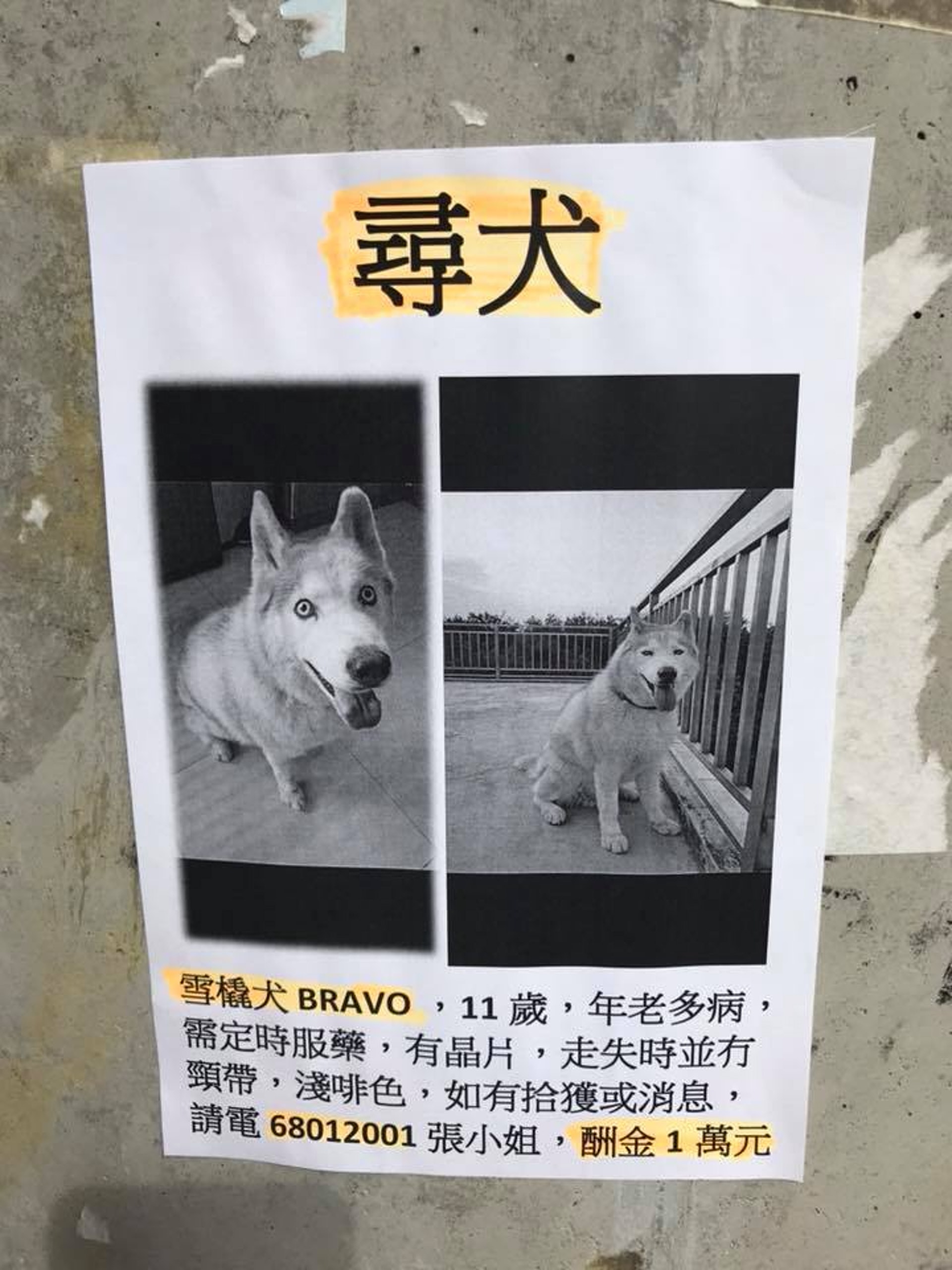 (張小姐提供照片) (張小姐提供照片)