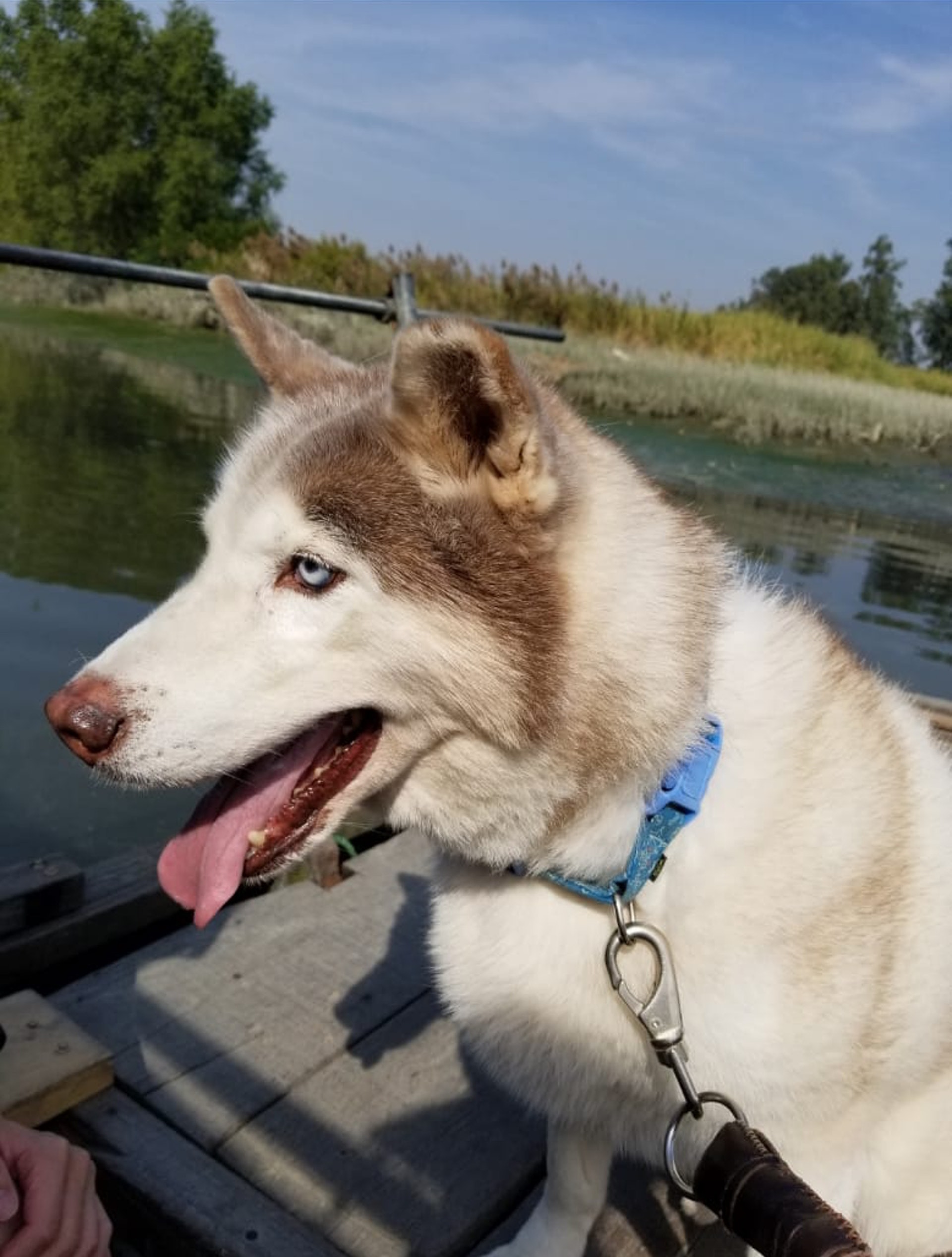 (張小姐提供照片) (張小姐提供照片)