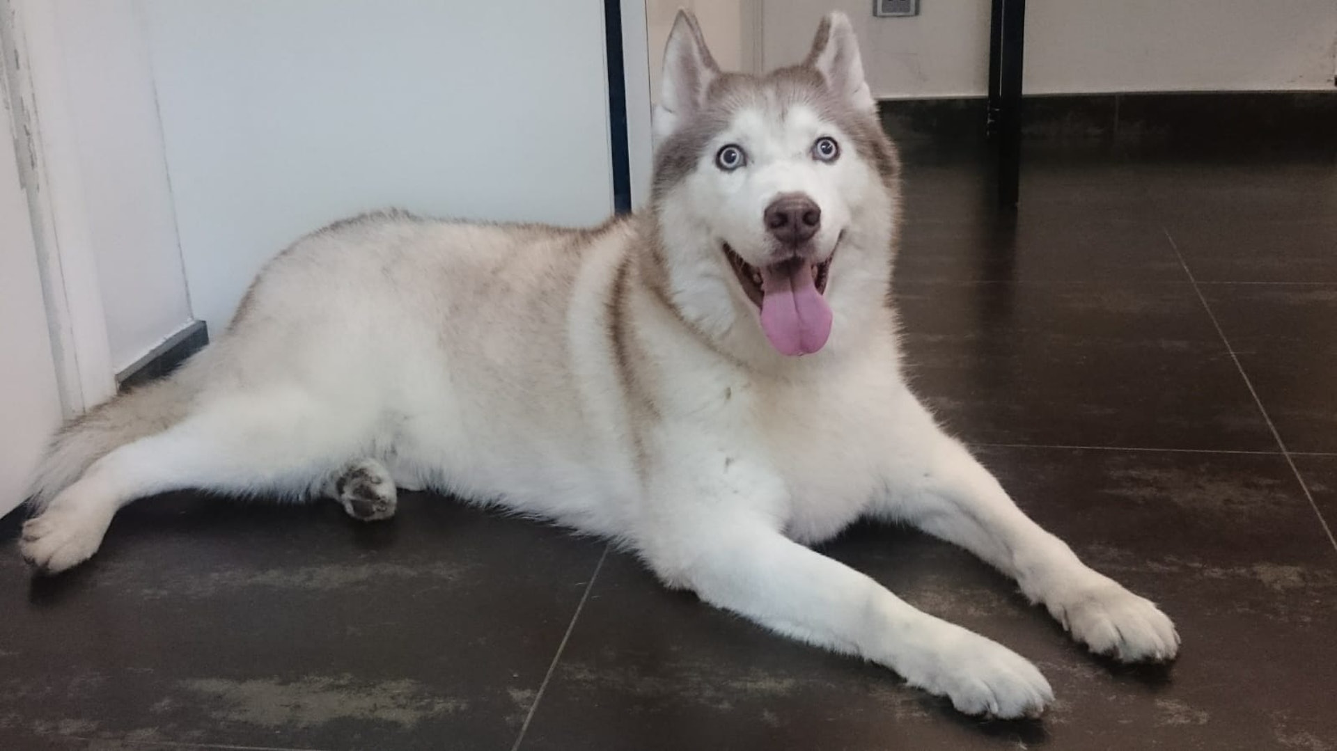 (張小姐提供照片) (張小姐提供照片)