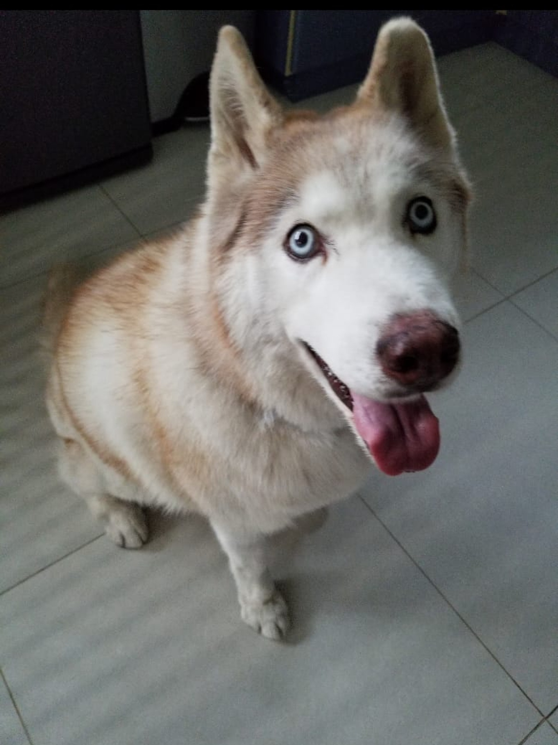 (張小姐提供照片) (張小姐提供照片)