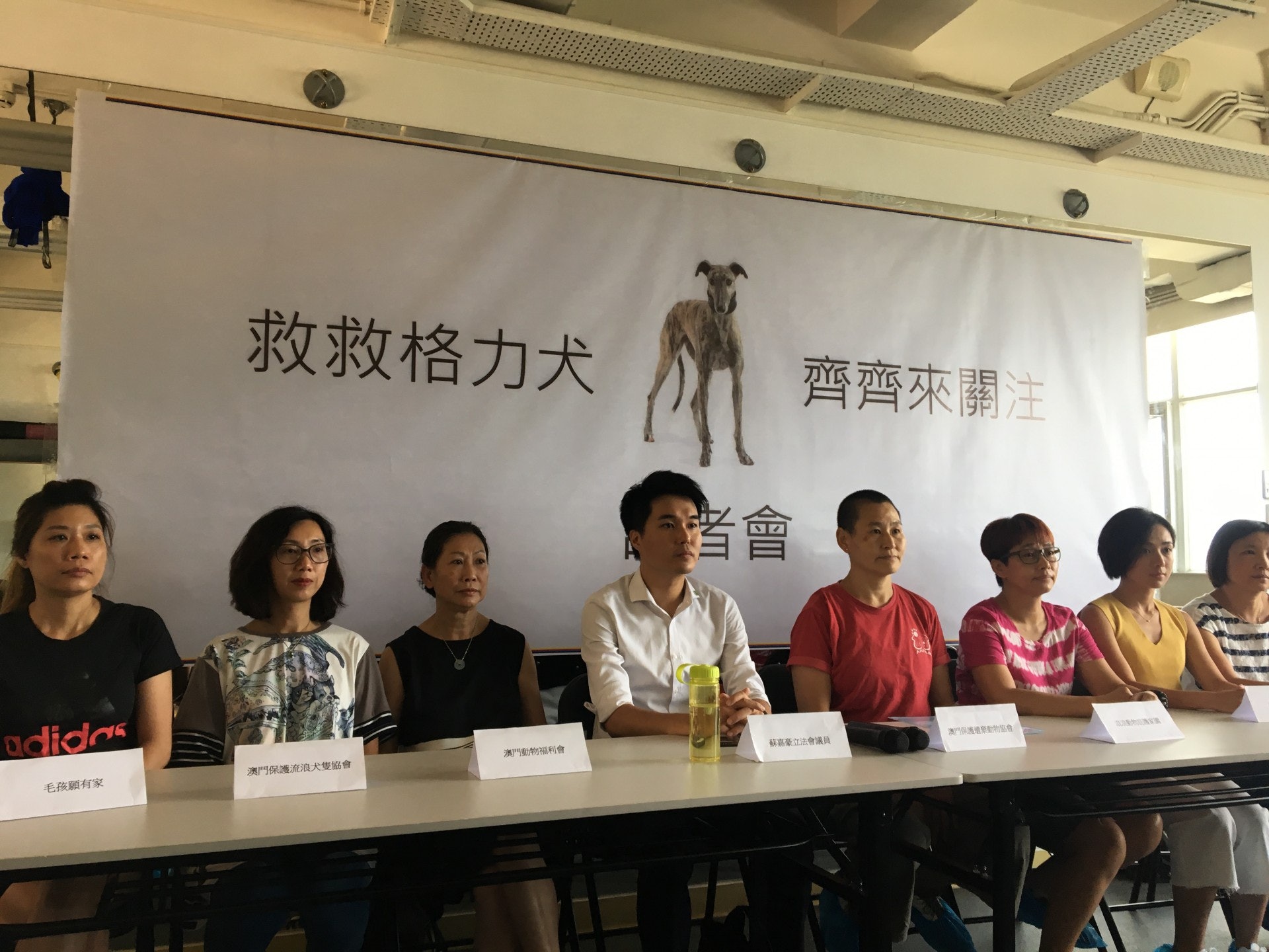 澳門動保團體要求狗會及政府盡快妥善安置受影響格力犬,讓他們安心退役。(陳淑霞攝) 澳門動保團體要求狗會及政府盡快妥善安置受影響格力犬,讓他們安心退役。(陳淑霞攝)