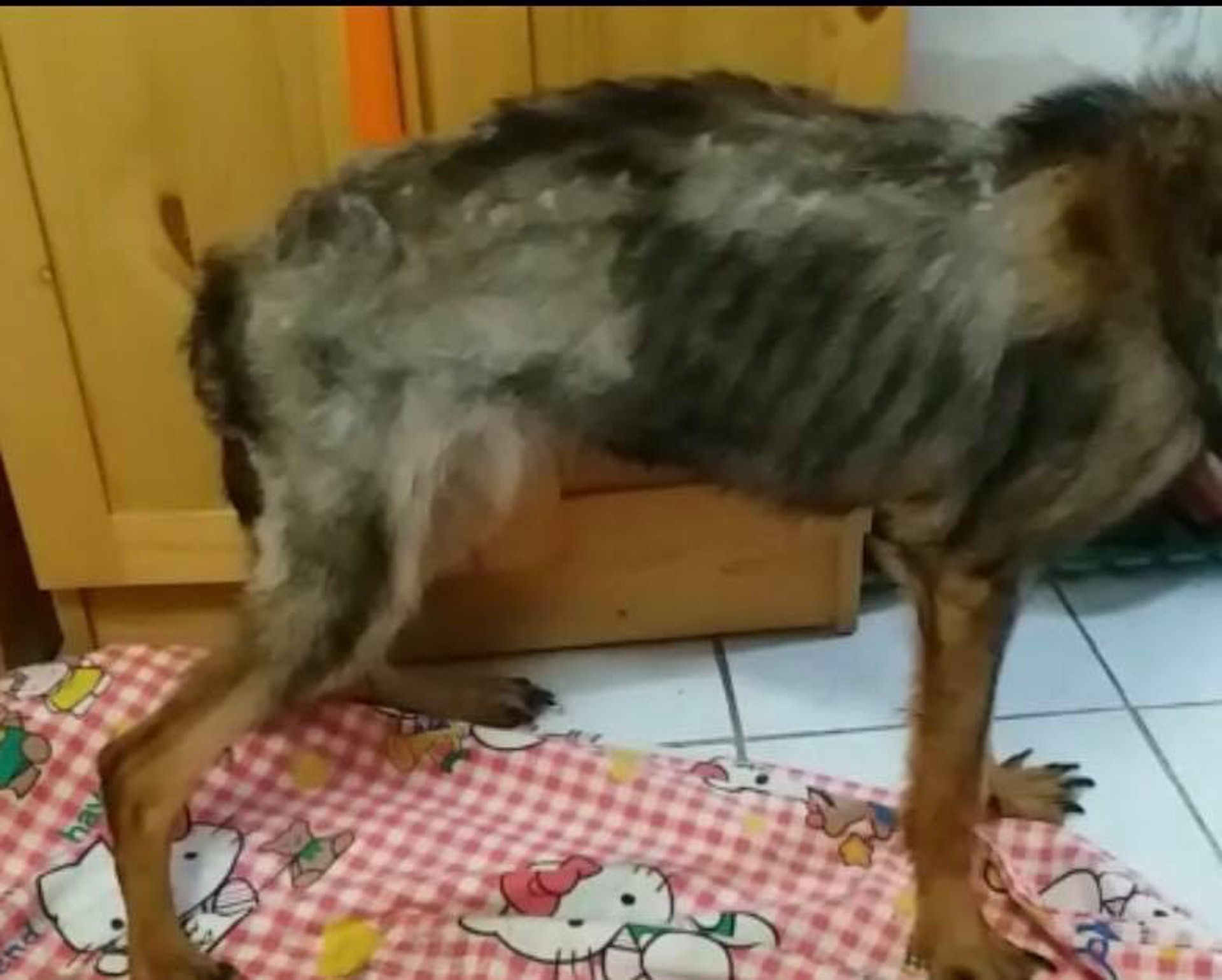 (Facebook:Jolly Leung) (Facebook:Jolly Leung)