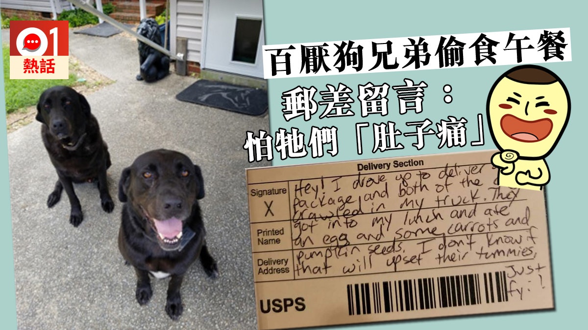 【好心地~】派信遇曳曳小狗偷食午餐 美國郵差唔嬲反留貼心留言 【好心地~】派信遇曳曳小狗偷食午餐 美國郵差唔嬲反留貼心留言