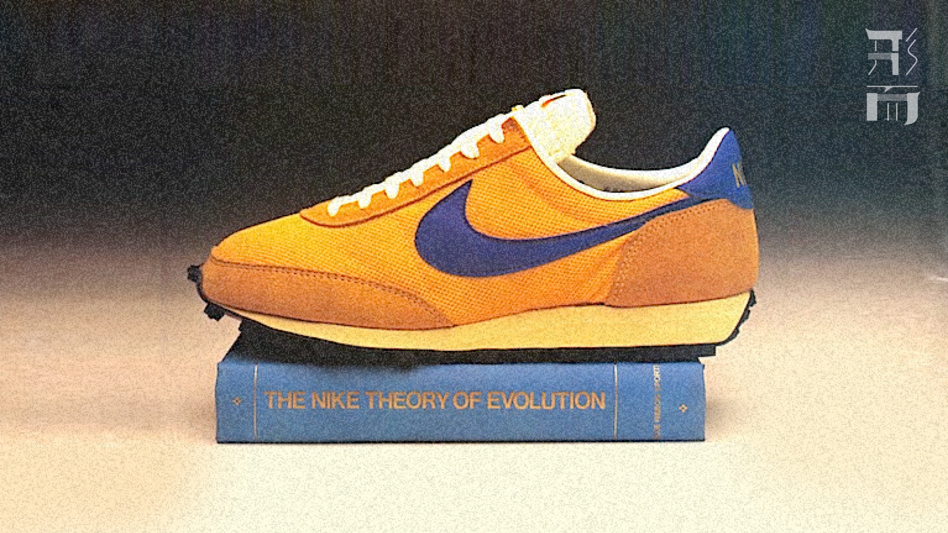 nike ldv vintage