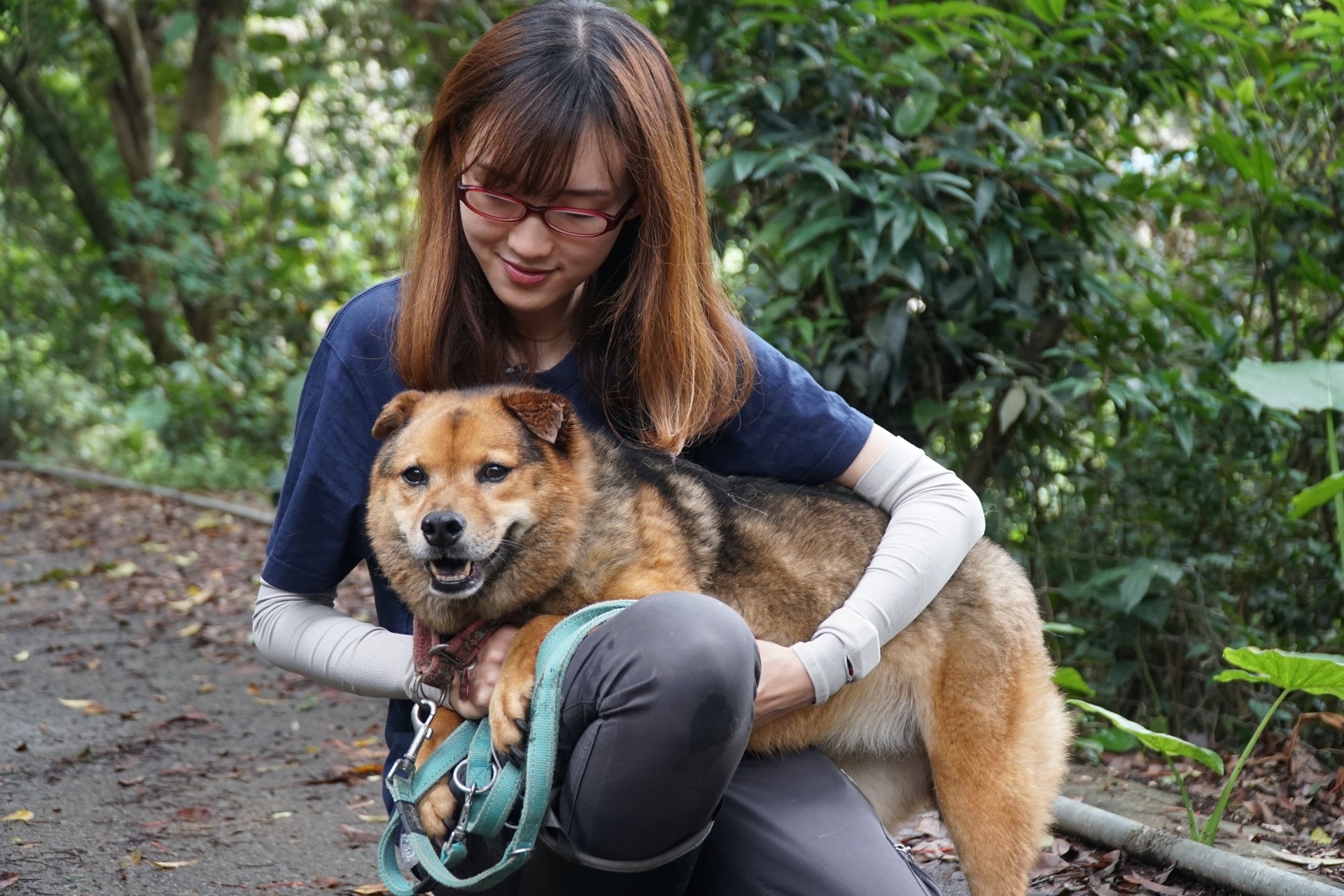 Eva認為唐狗更適合在香港生活。(羅偉文攝) Eva認為唐狗更適合在香港生活。(羅偉文攝)