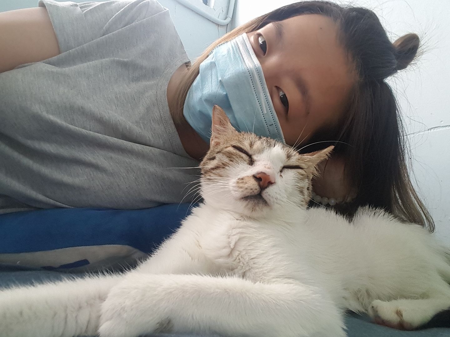 花花悉心照顧腦癱貓夢露,希望牠能健康成長。 (花花提供) 花花悉心照顧腦癱貓夢露,希望牠能健康成長。 (花花提供)