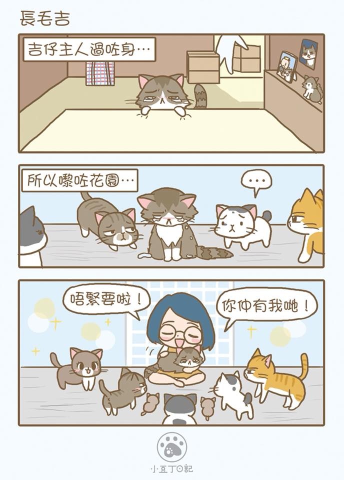 漫畫內容-長毛吉 (小豆丁日記Facebook) 漫畫內容-長毛吉 (小豆丁日記Facebook)