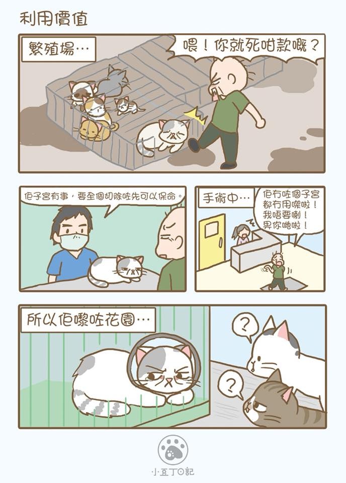 漫畫內容-利用價值 (小豆丁日記Facebook) 漫畫內容-利用價值 (小豆丁日記Facebook)