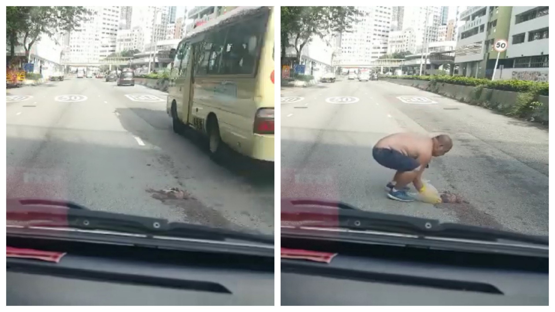 文哥快速落車,將貓屍撿走。(毛孩關愛組) 文哥快速落車,將貓屍撿走。(毛孩關愛組)