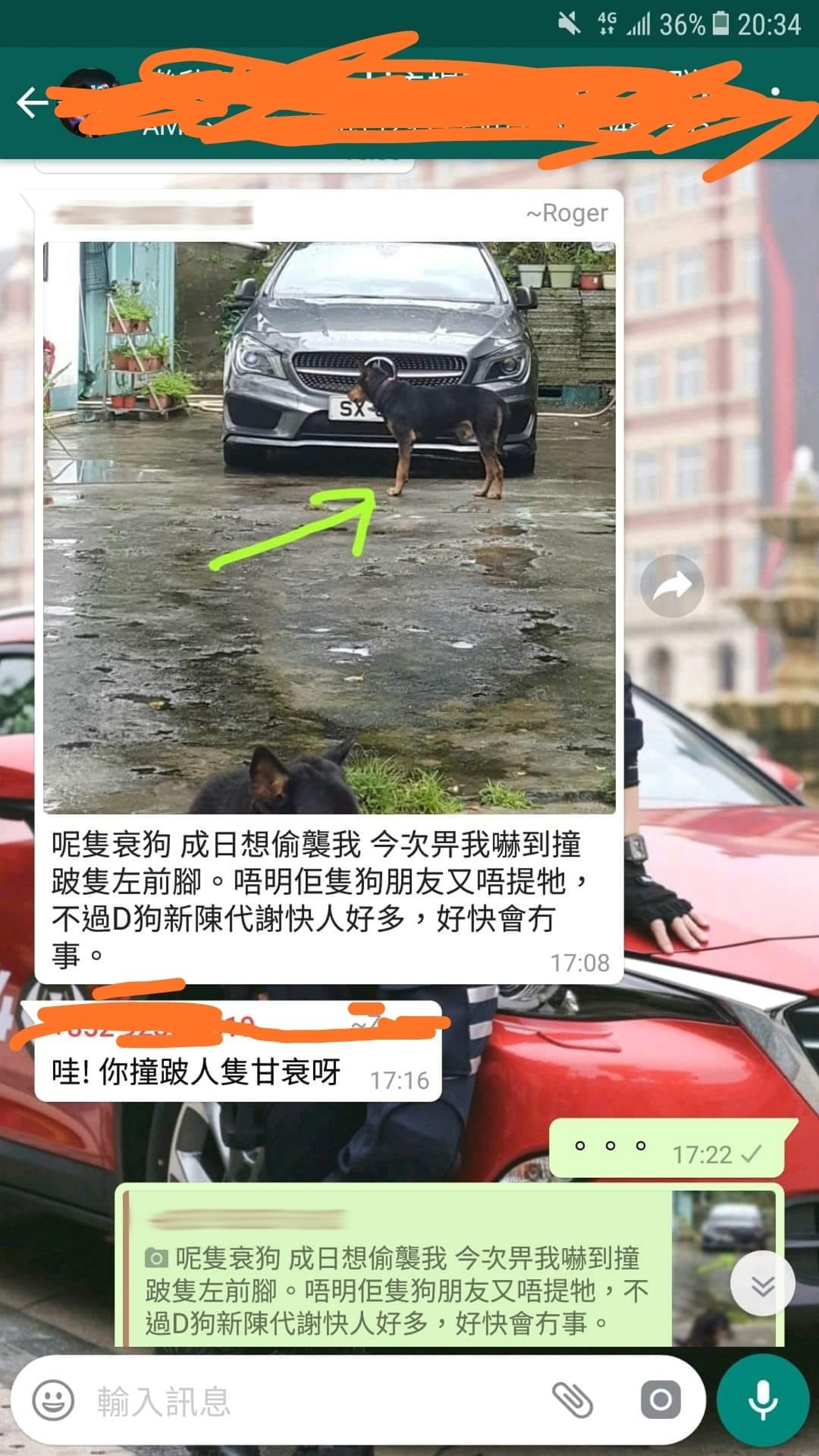 網上流出一張疑似自認開車撞跛狗的WhatsApp對話截圖。(facebook:貓貓狗狗世界趣聞快快樂樂每一天) 網上流出一張疑似自認開車撞跛狗的WhatsApp對話截圖。(facebook:貓貓狗狗世界趣聞快快樂樂每一天)